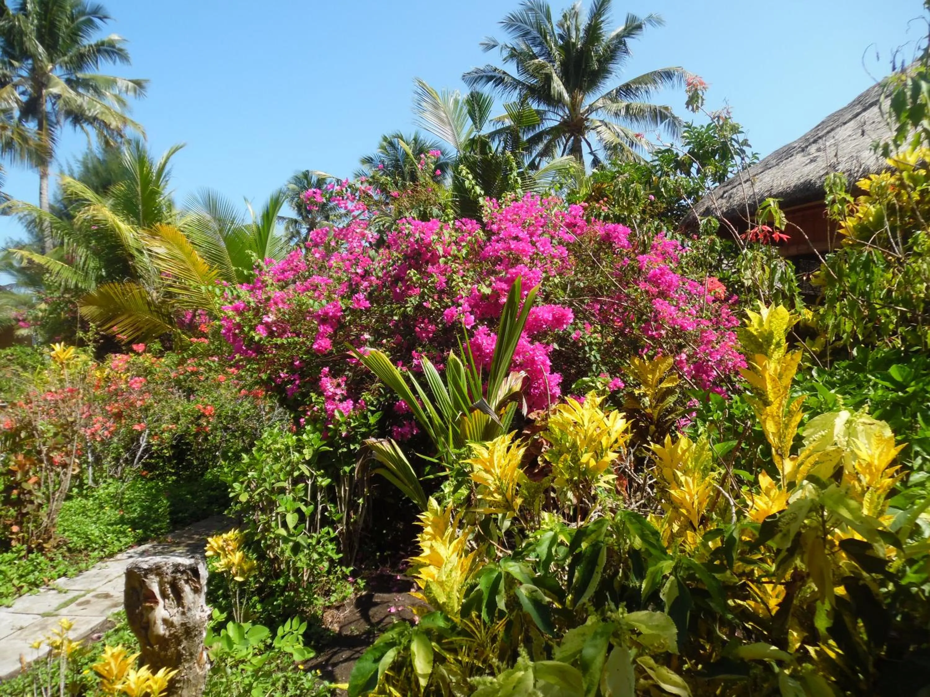 Garden in Sea World Club Beach Resort & Dive Center, RESORT THAT SUPPORTS THE POOR