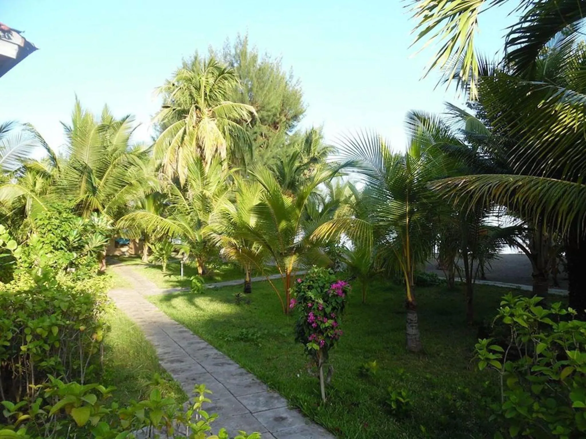 Day in Sea World Club Beach Resort & Dive Center, RESORT THAT SUPPORTS THE POOR