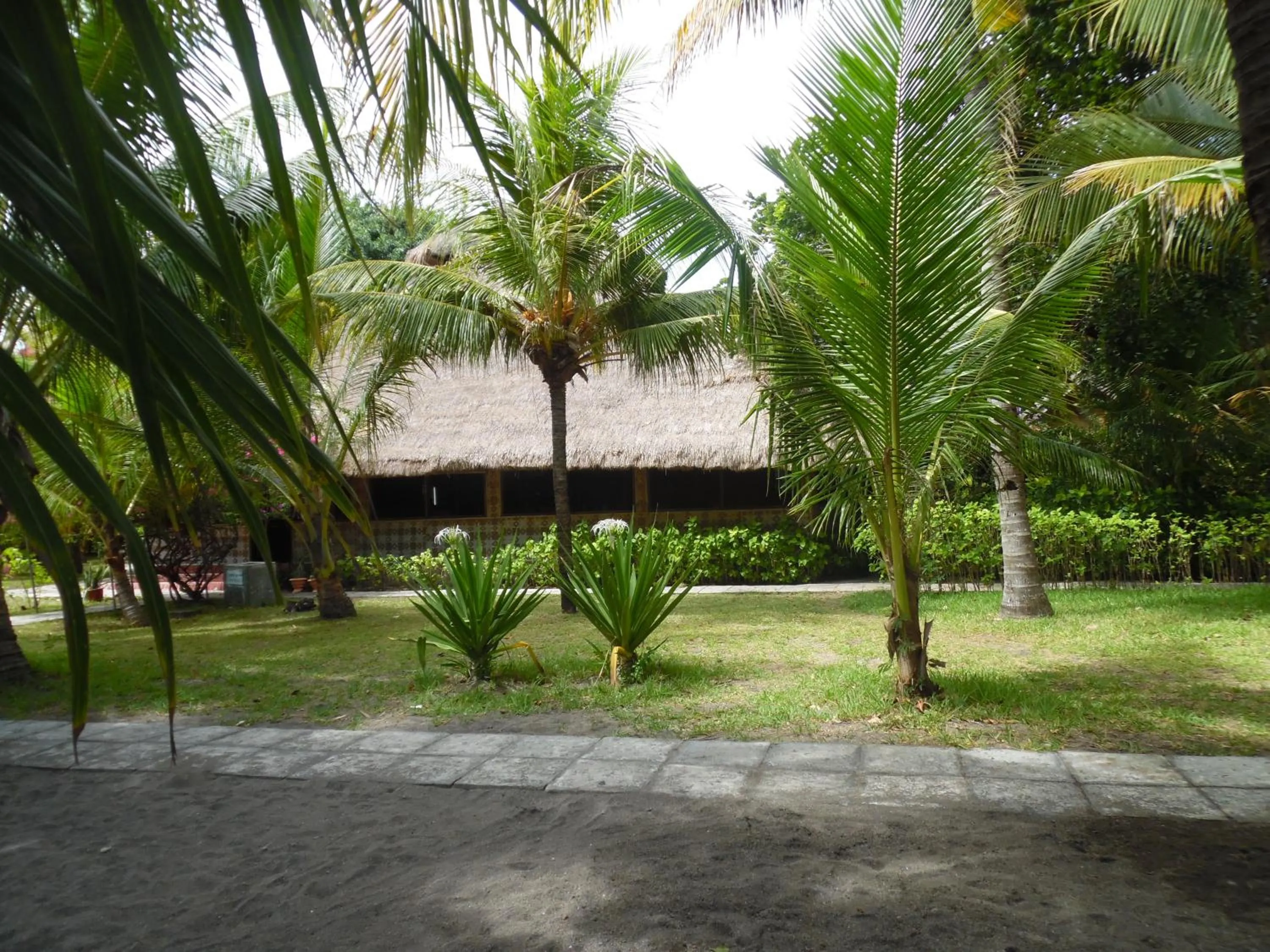 Restaurant/places to eat in Sea World Club Beach Resort & Dive Center, RESORT THAT SUPPORTS THE POOR