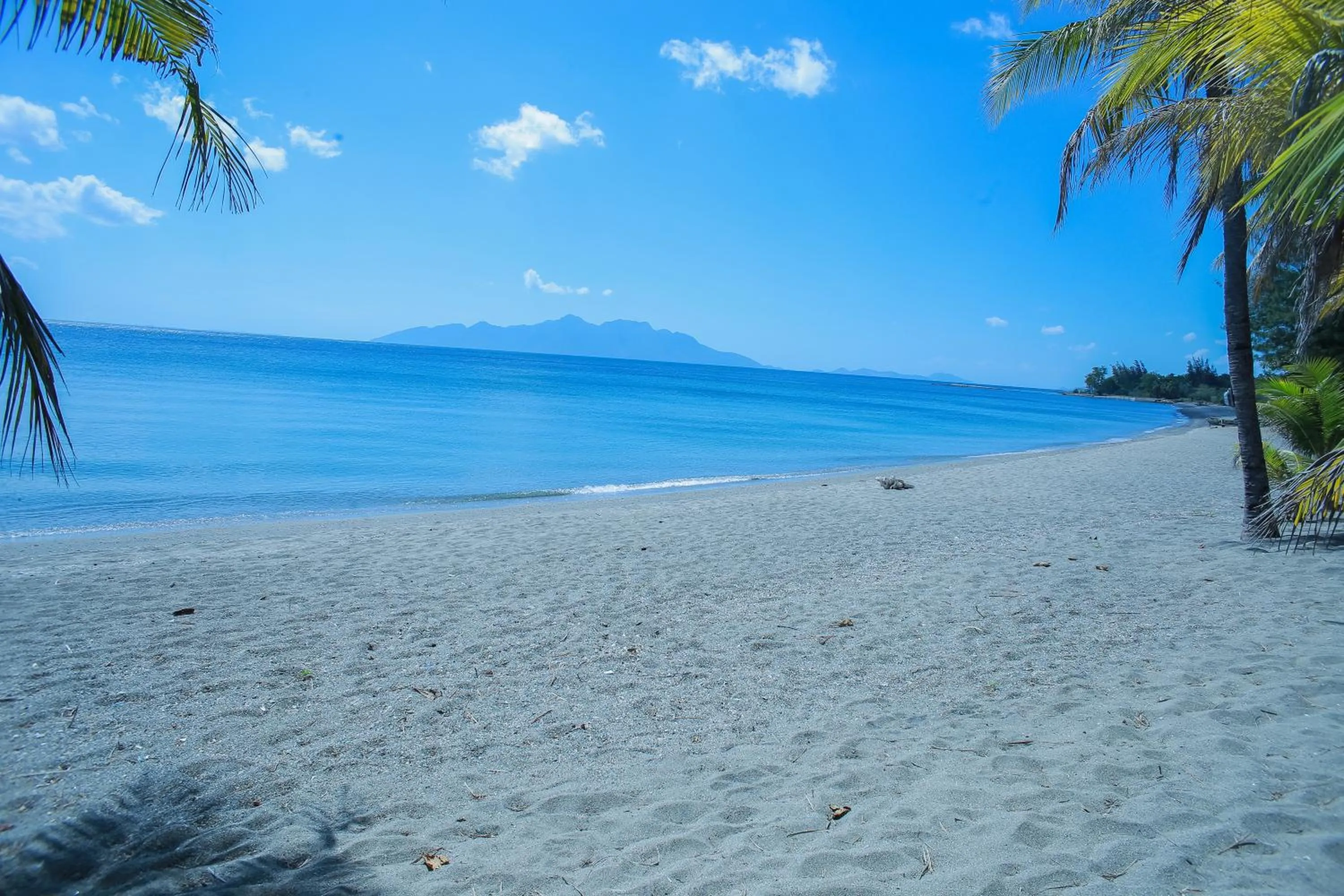 Sea World Club Beach Resort & Dive Center, RESORT THAT SUPPORTS THE POOR