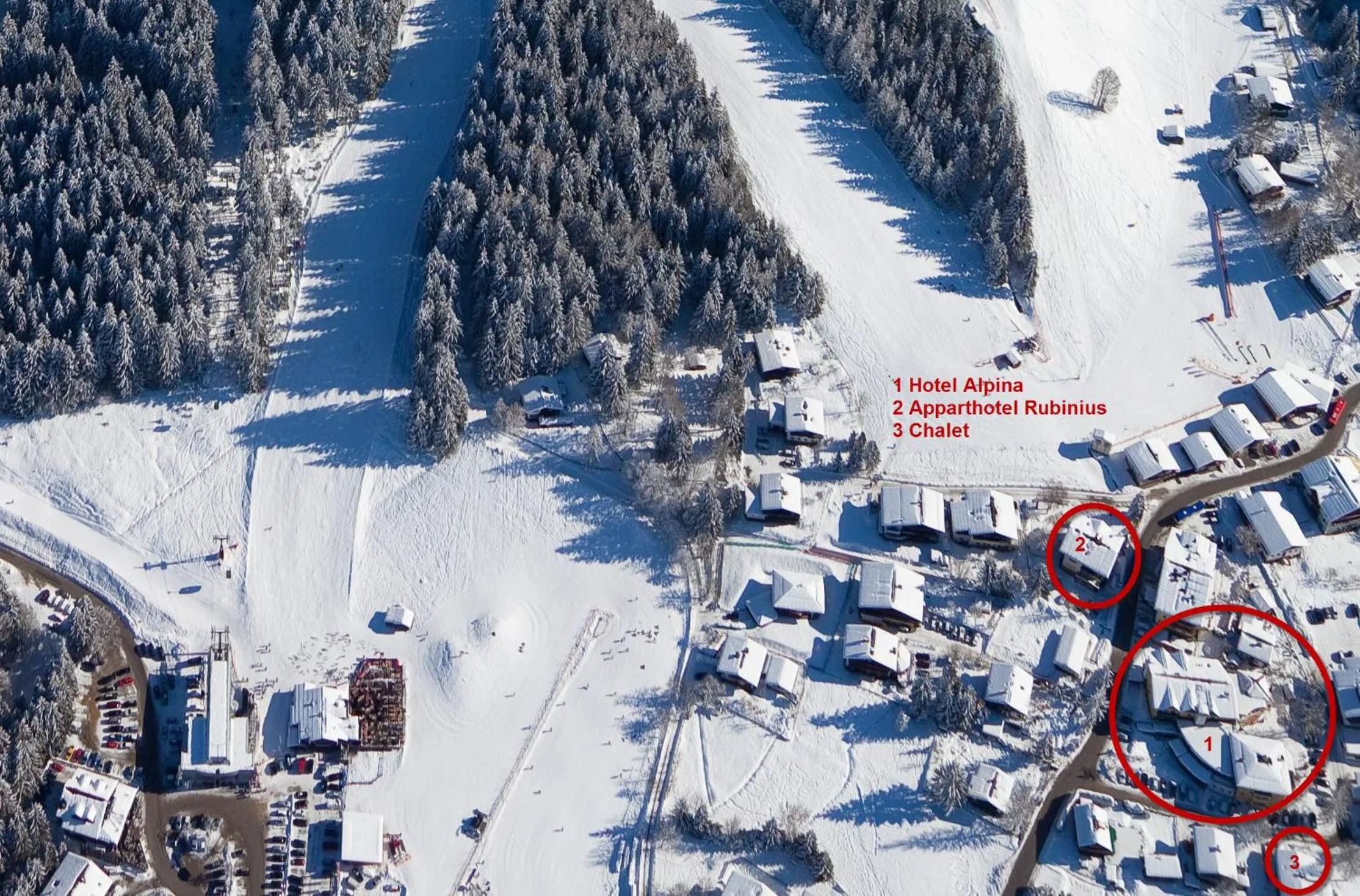 Bird's eye view in Alpina Wagrain