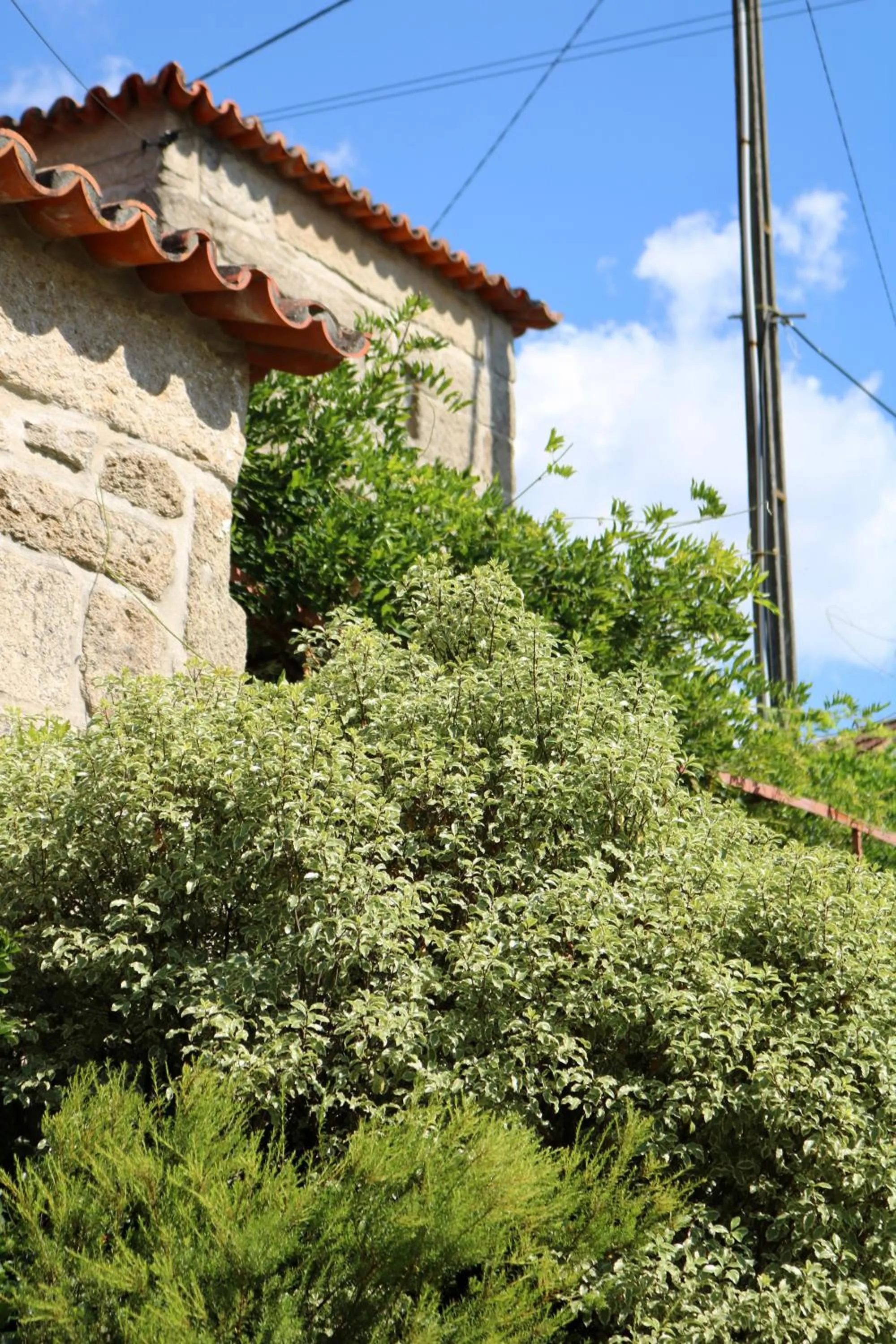 Spring in Casa da Eira