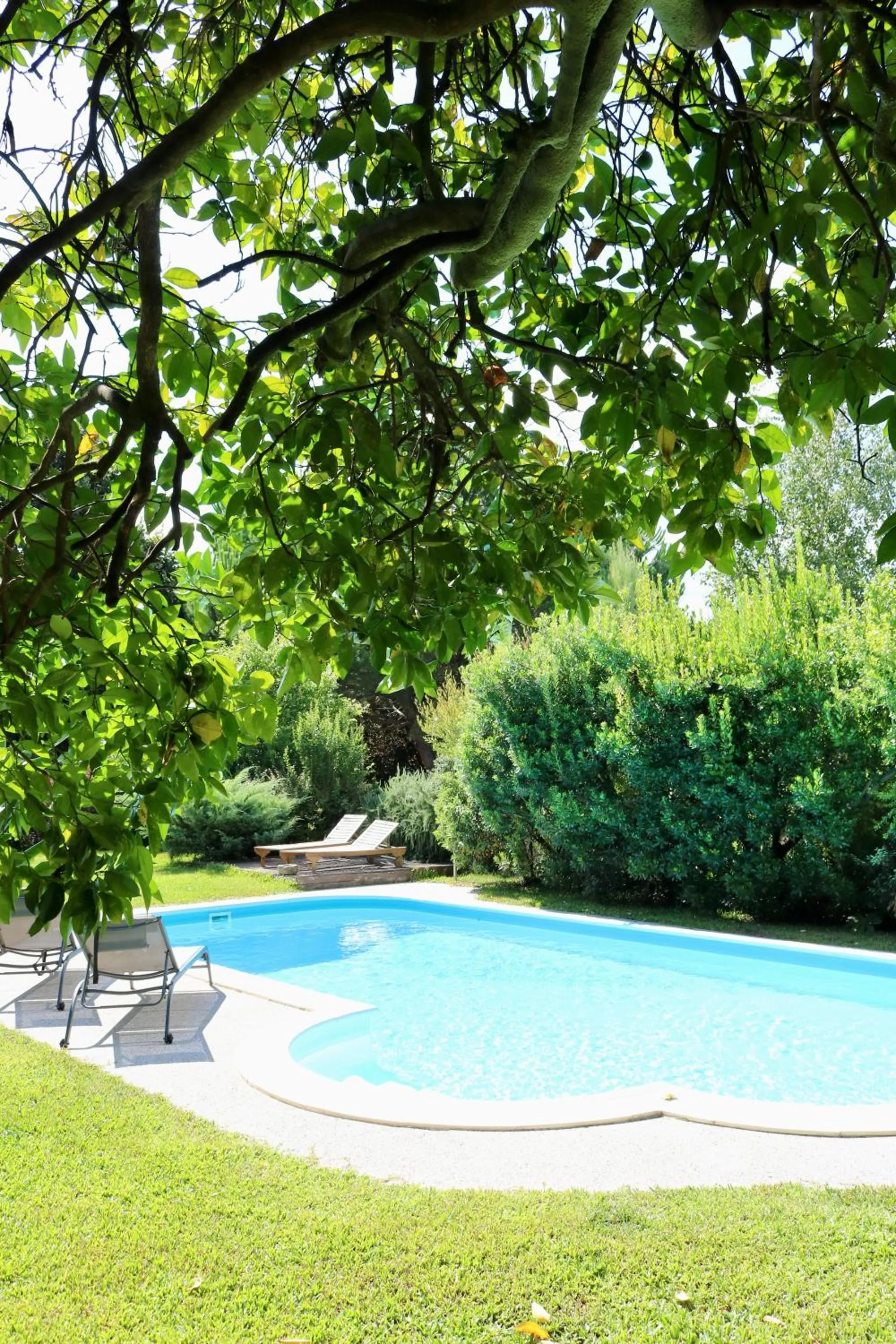 Spring in Casa da Eira