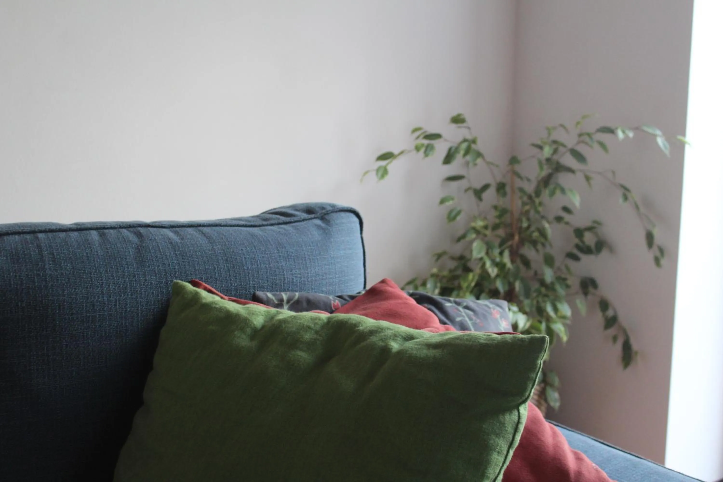 Living room in Casa da Eira