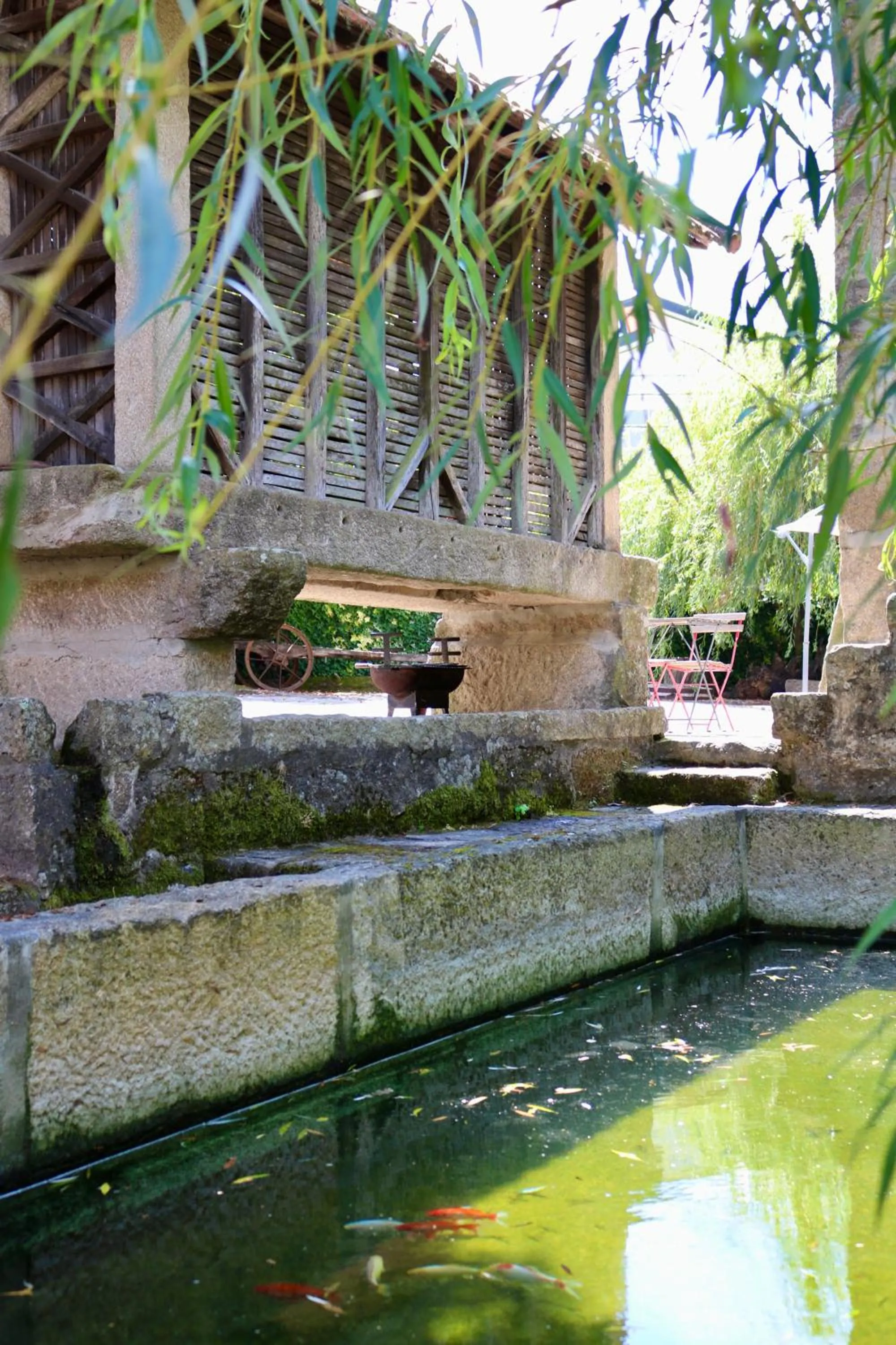 Spring in Casa da Eira