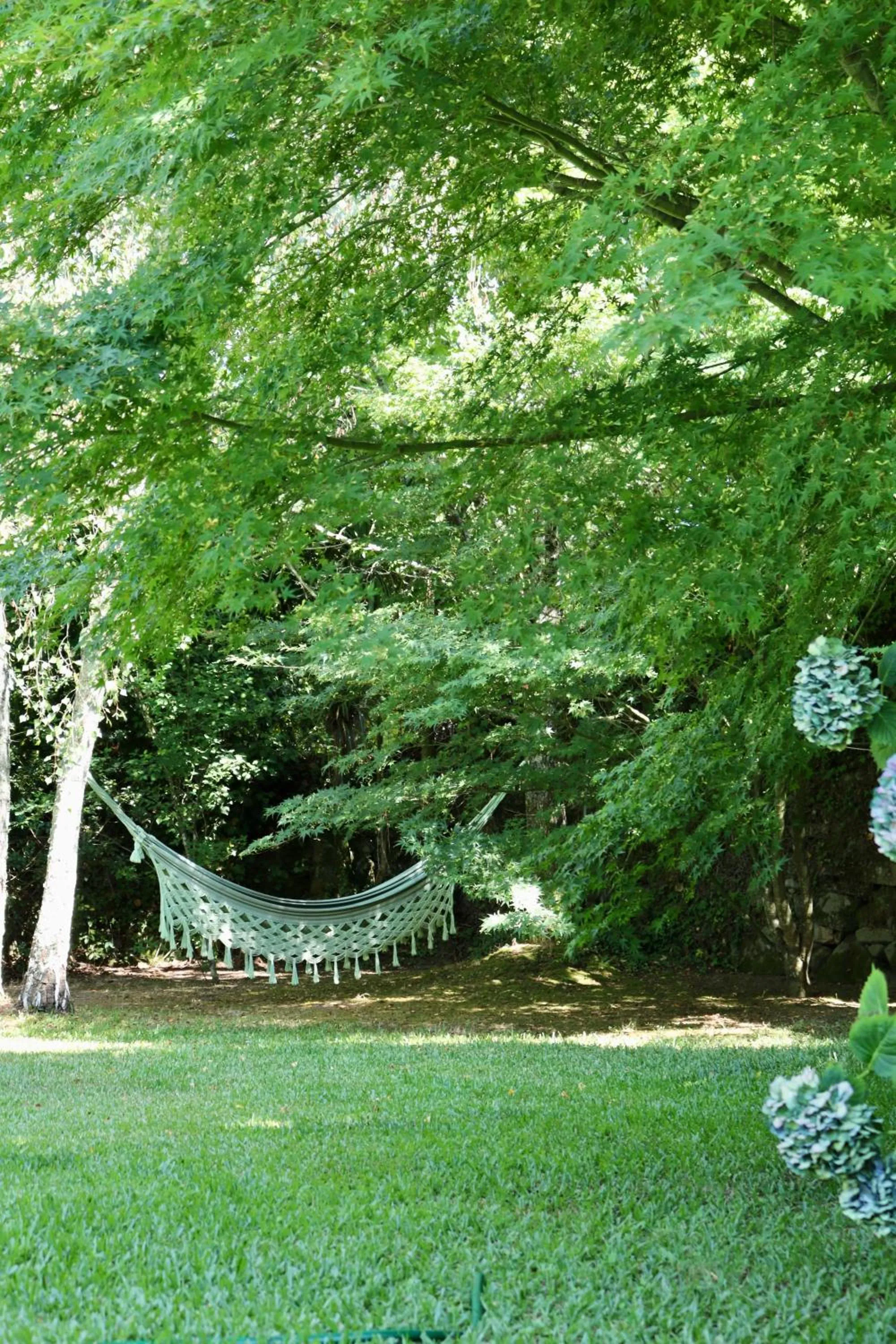 Garden in Casa da Eira