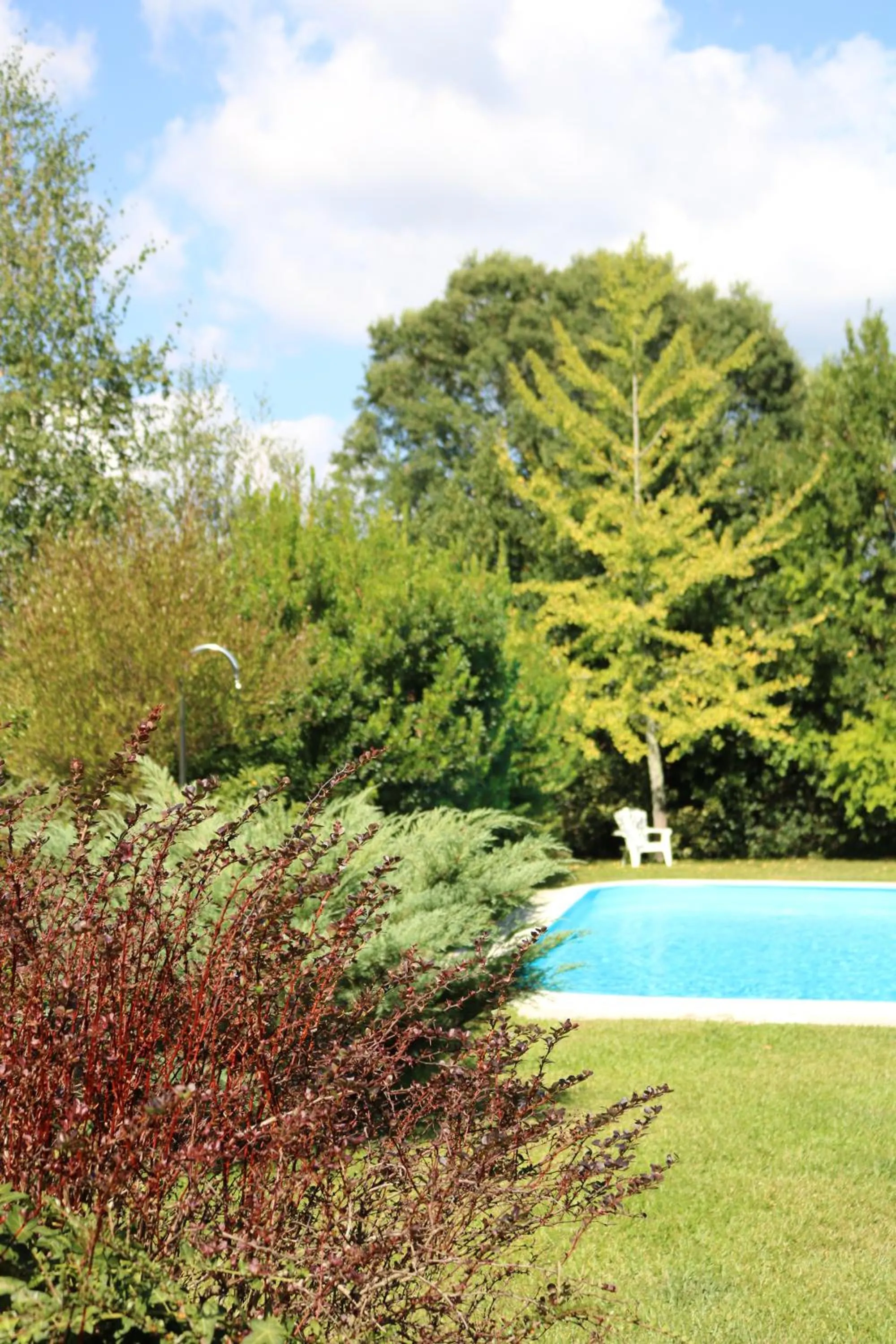 Garden in Casa da Eira