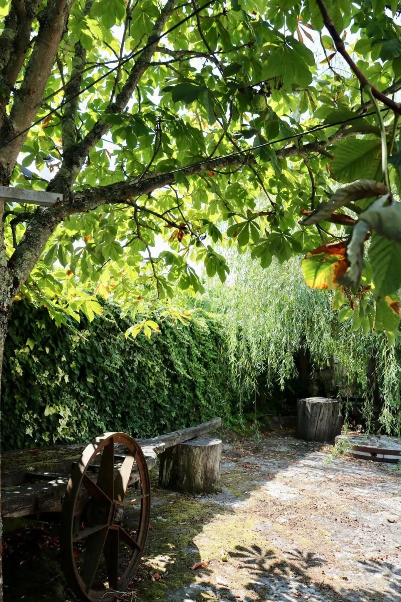 Garden in Casa da Eira