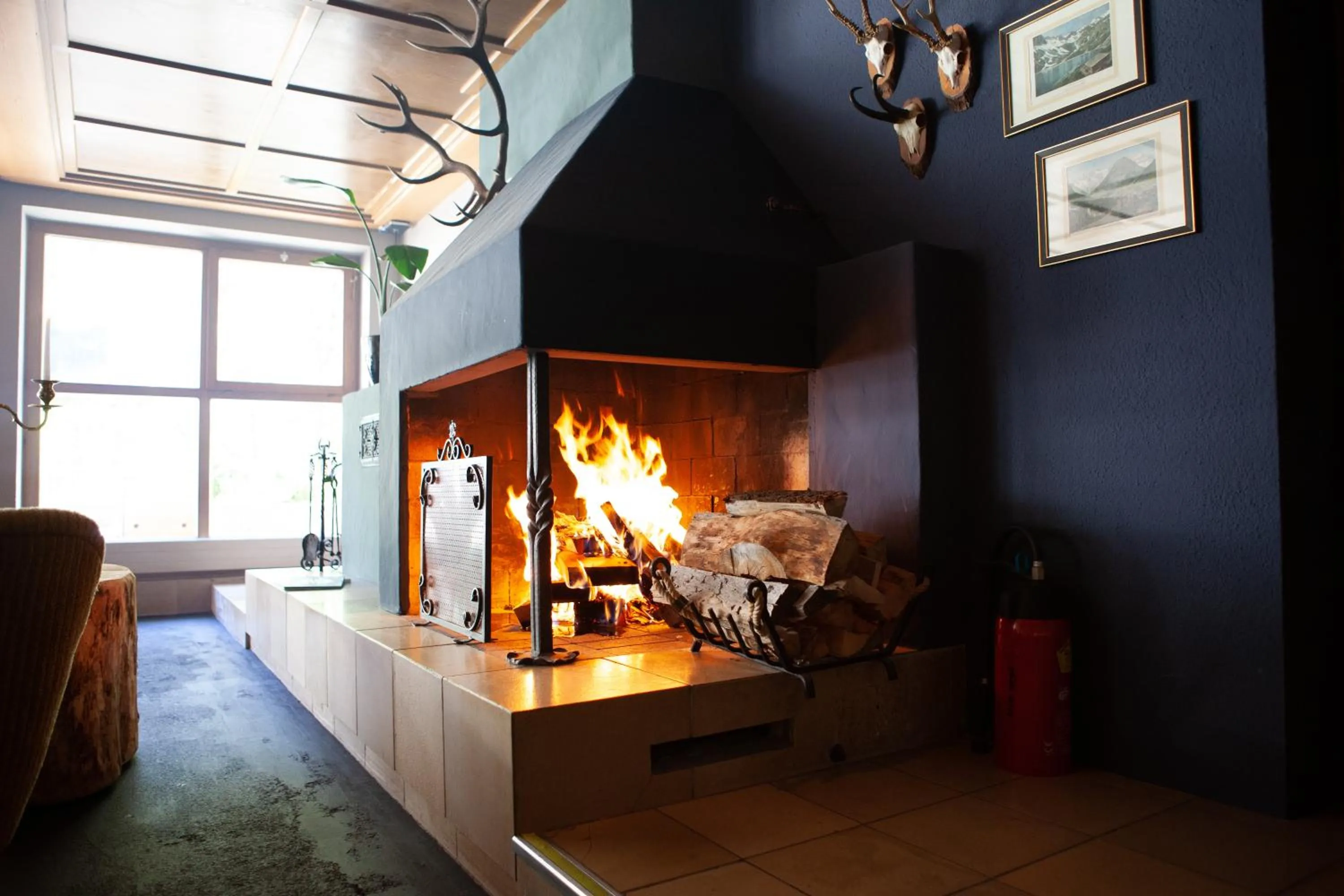 Area and facilities in Walliserhof