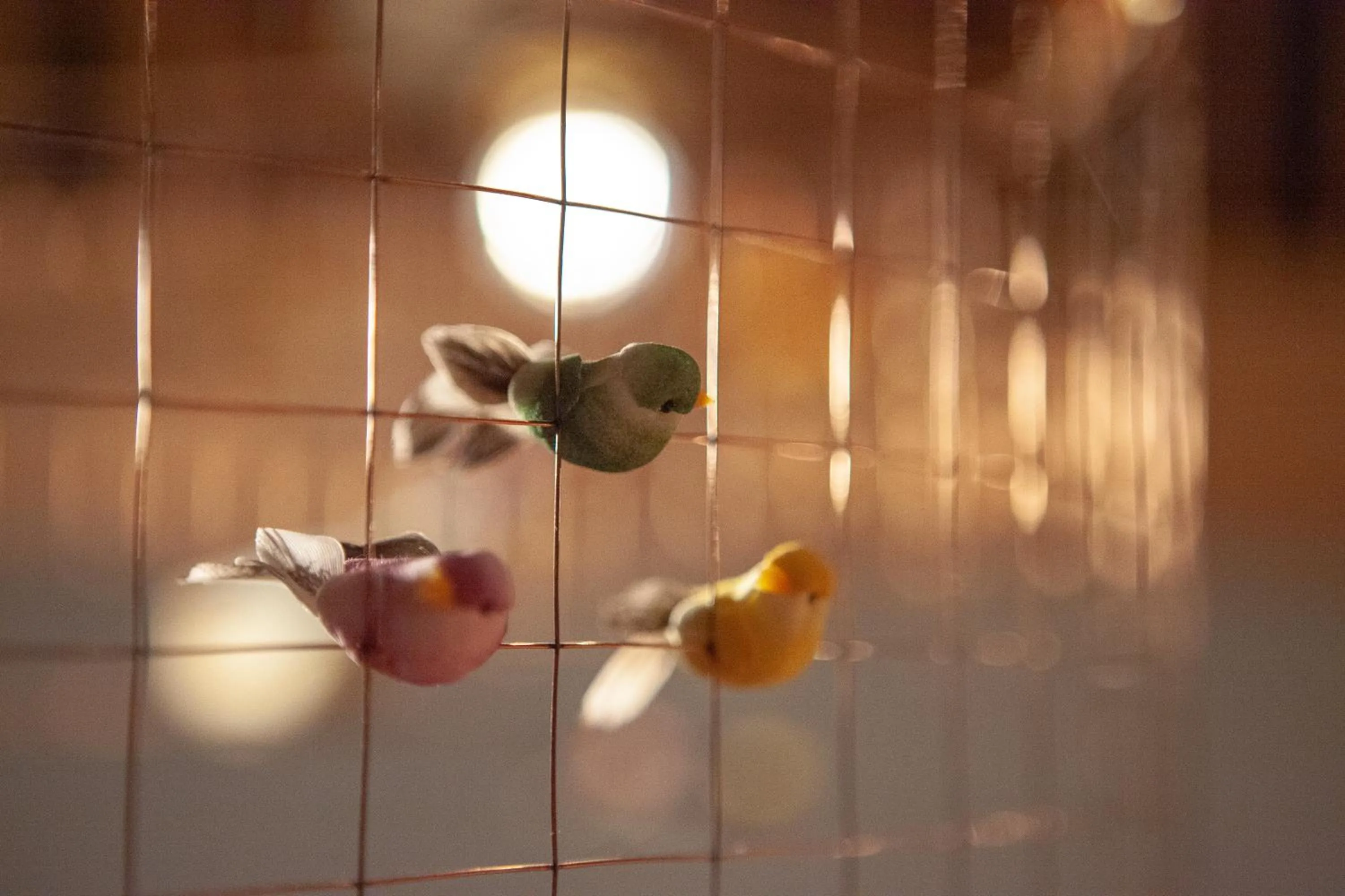 Area and facilities in Walliserhof