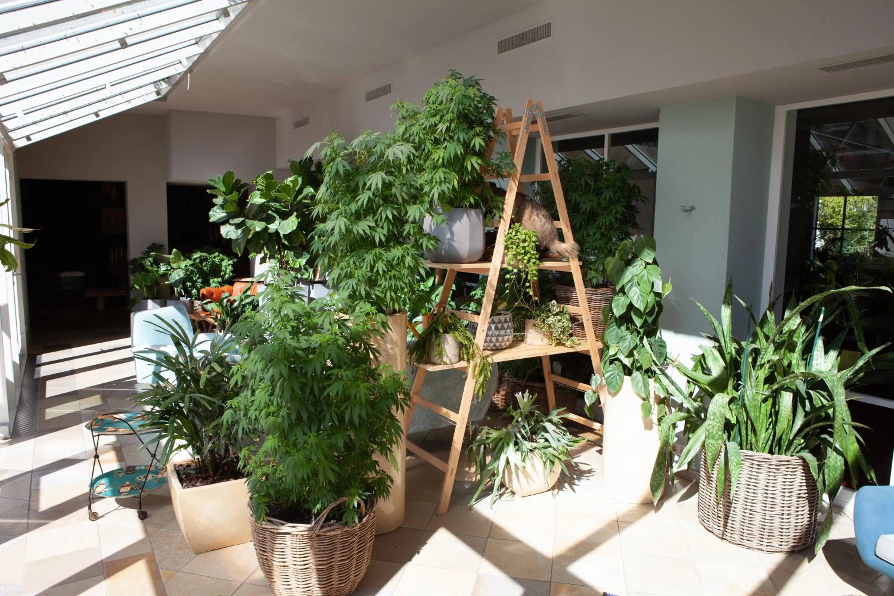 Evening entertainment in Walliserhof