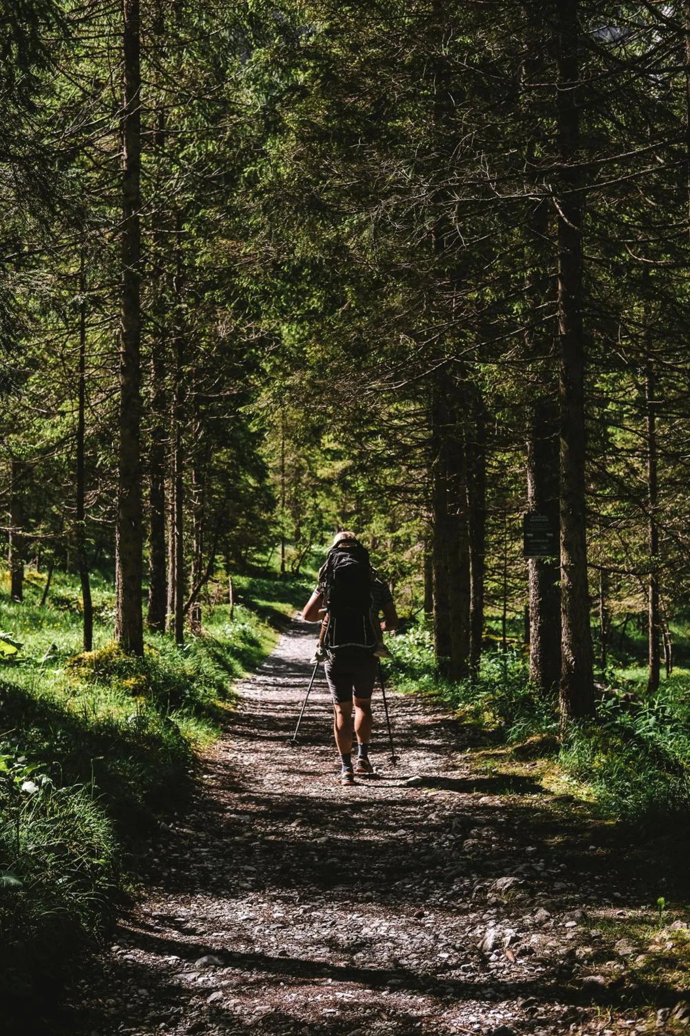 Summer in Hotel Oberforsthof