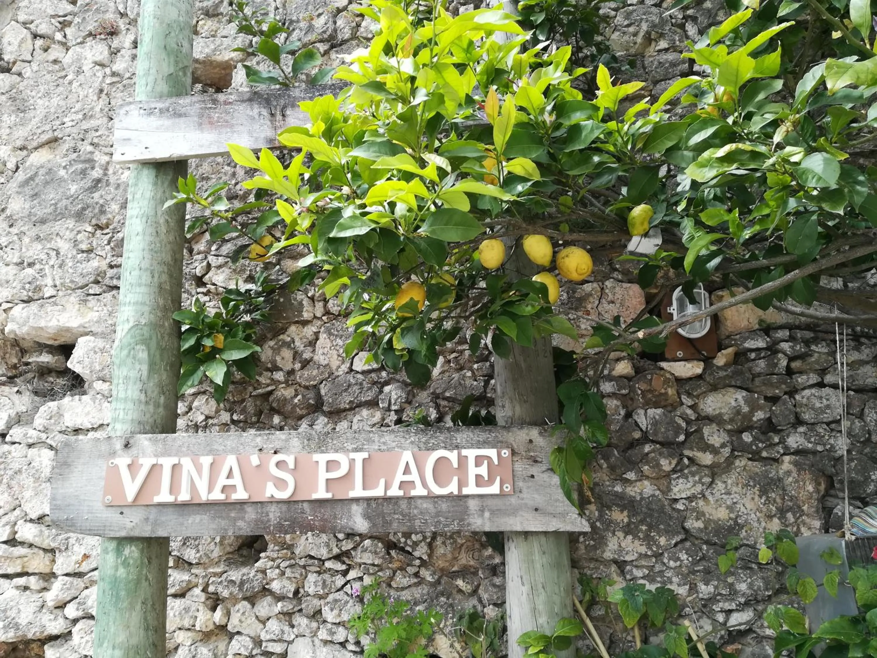 Property building in Vina's Place