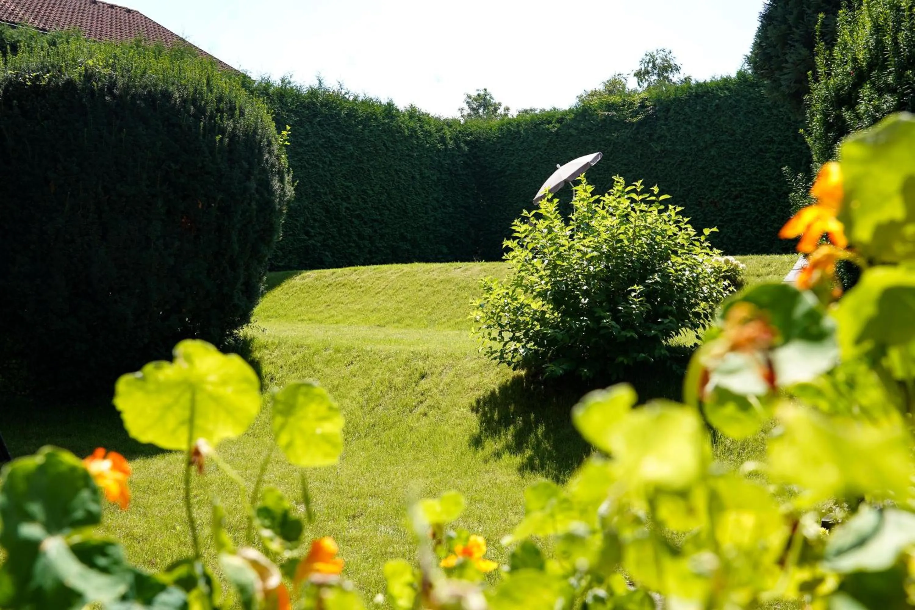Garden in Hotel Sonnhof