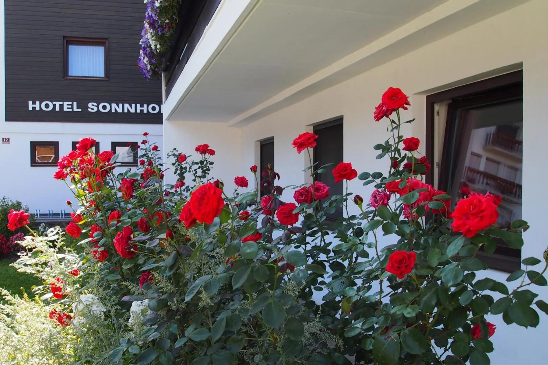 Garden in Hotel Sonnhof