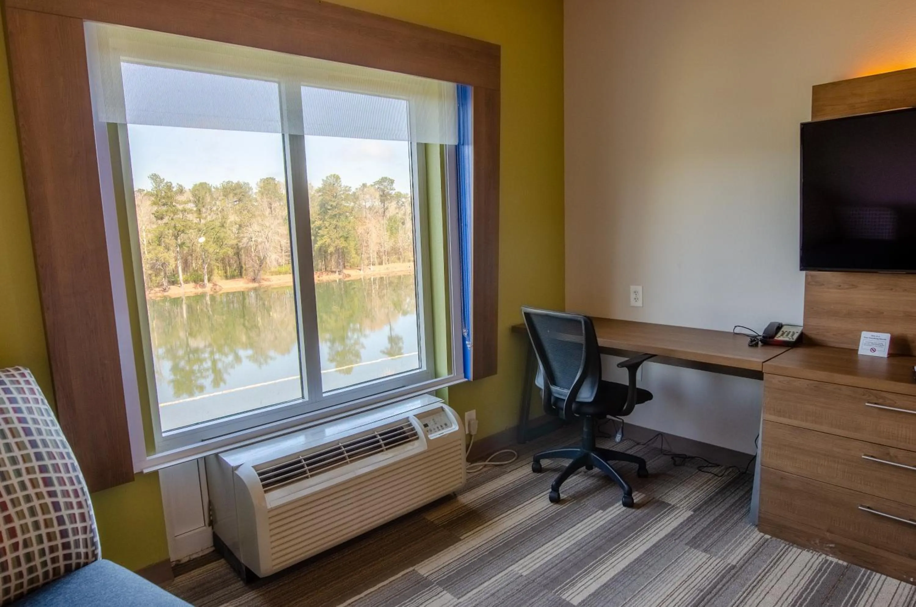 Lake view in Holiday Inn Express Hotel & Suites Atlanta Airport West - Camp Creek by IHG