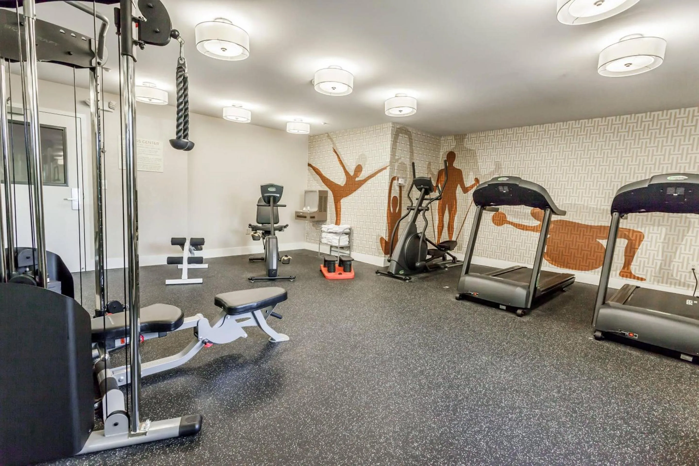 Fitness centre/facilities in MainStay Suites Detroit Auburn Hills