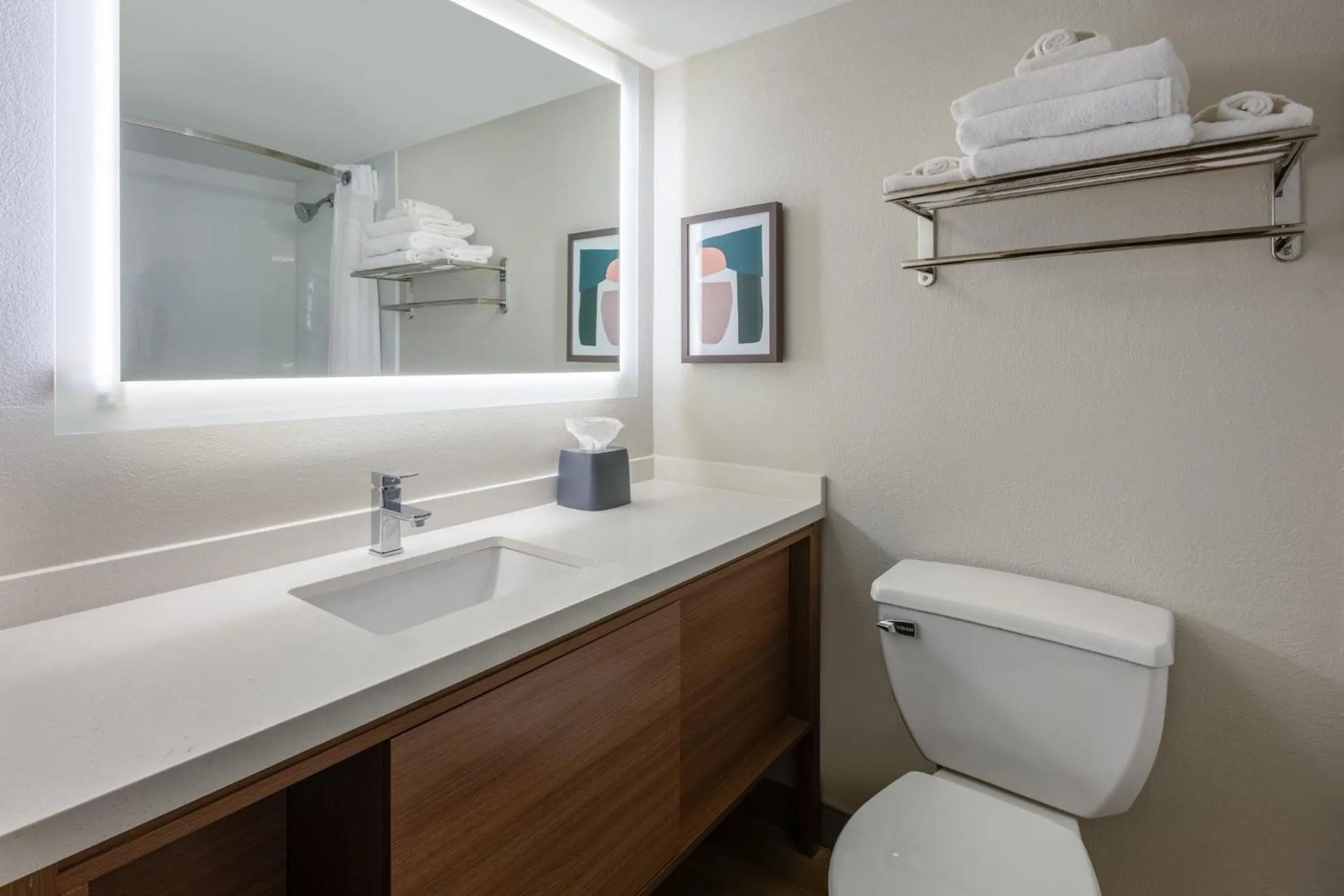 Bathroom in Holiday Inn Morgantown - Reading Area by IHG