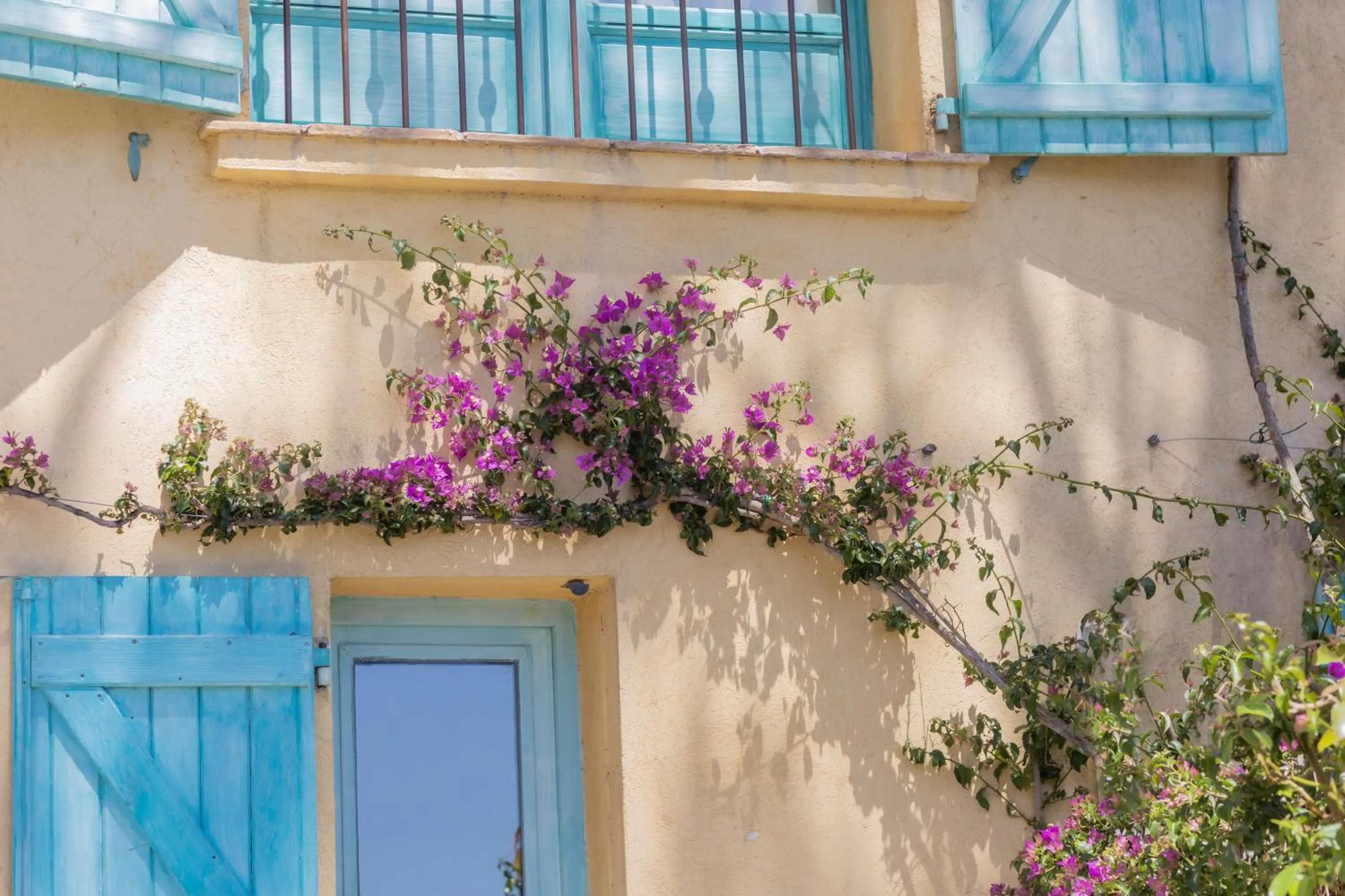 Garden in Casa Santini x Roc Seven