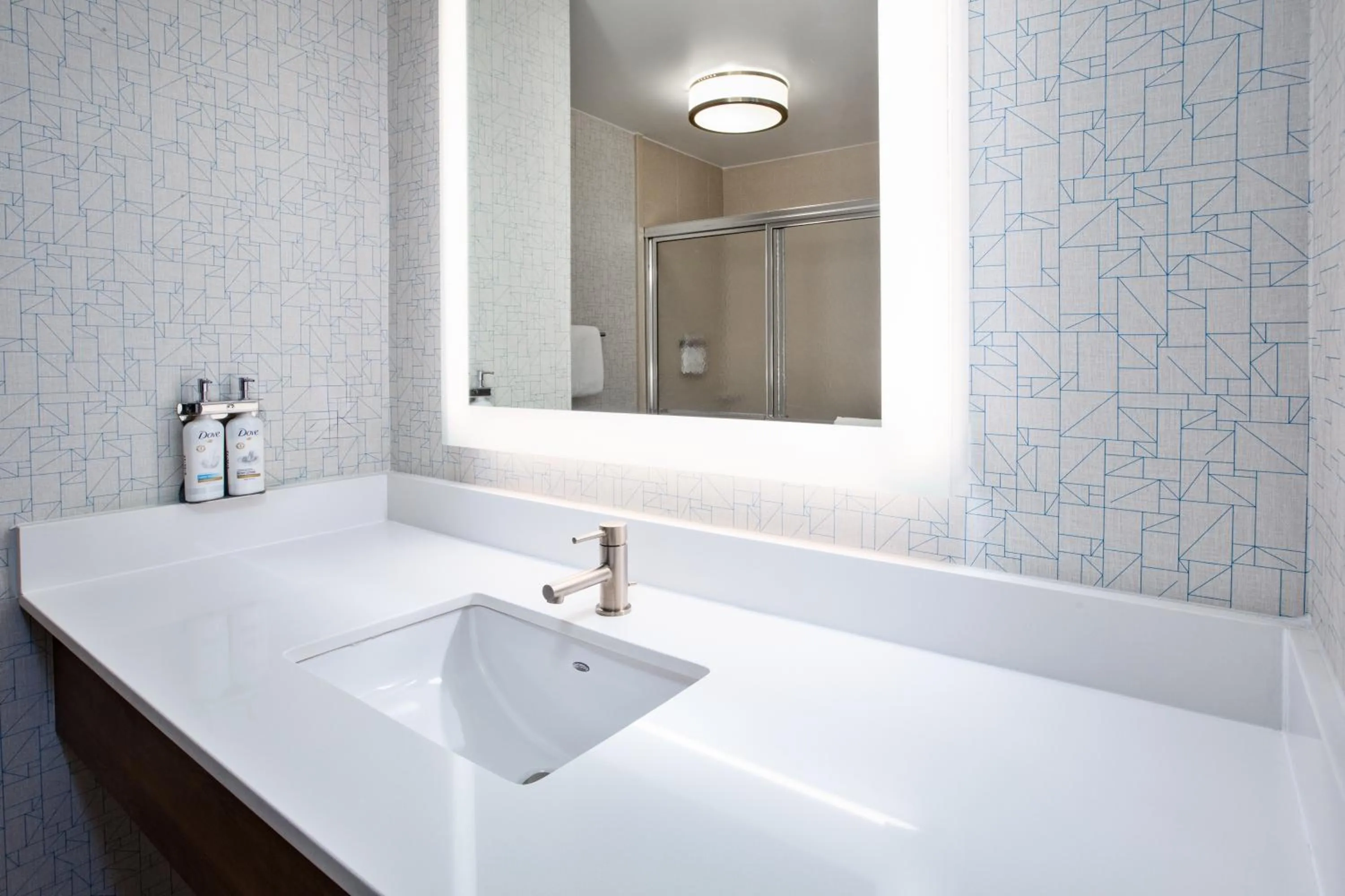 Bathroom in Holiday Inn Express Hotel & Suites Auburn Hills by IHG