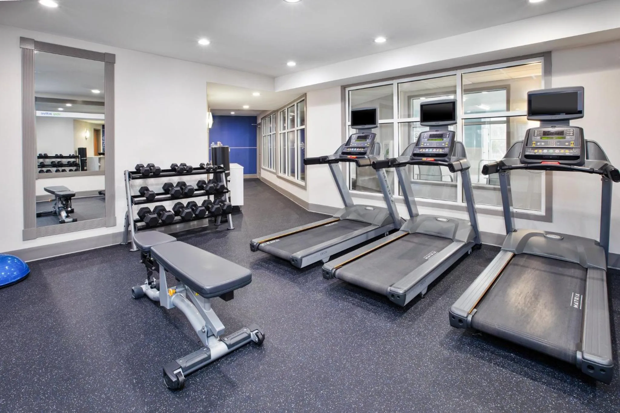 Spa and wellness centre/facilities in Holiday Inn Express Hotel & Suites Auburn Hills by IHG