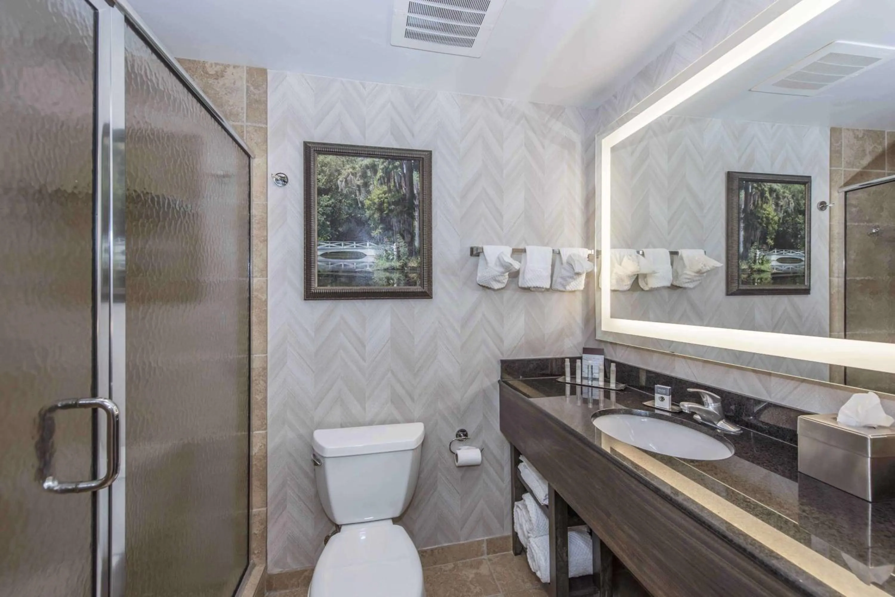 Toilet in DoubleTree by Hilton North Charleston - Convention Center