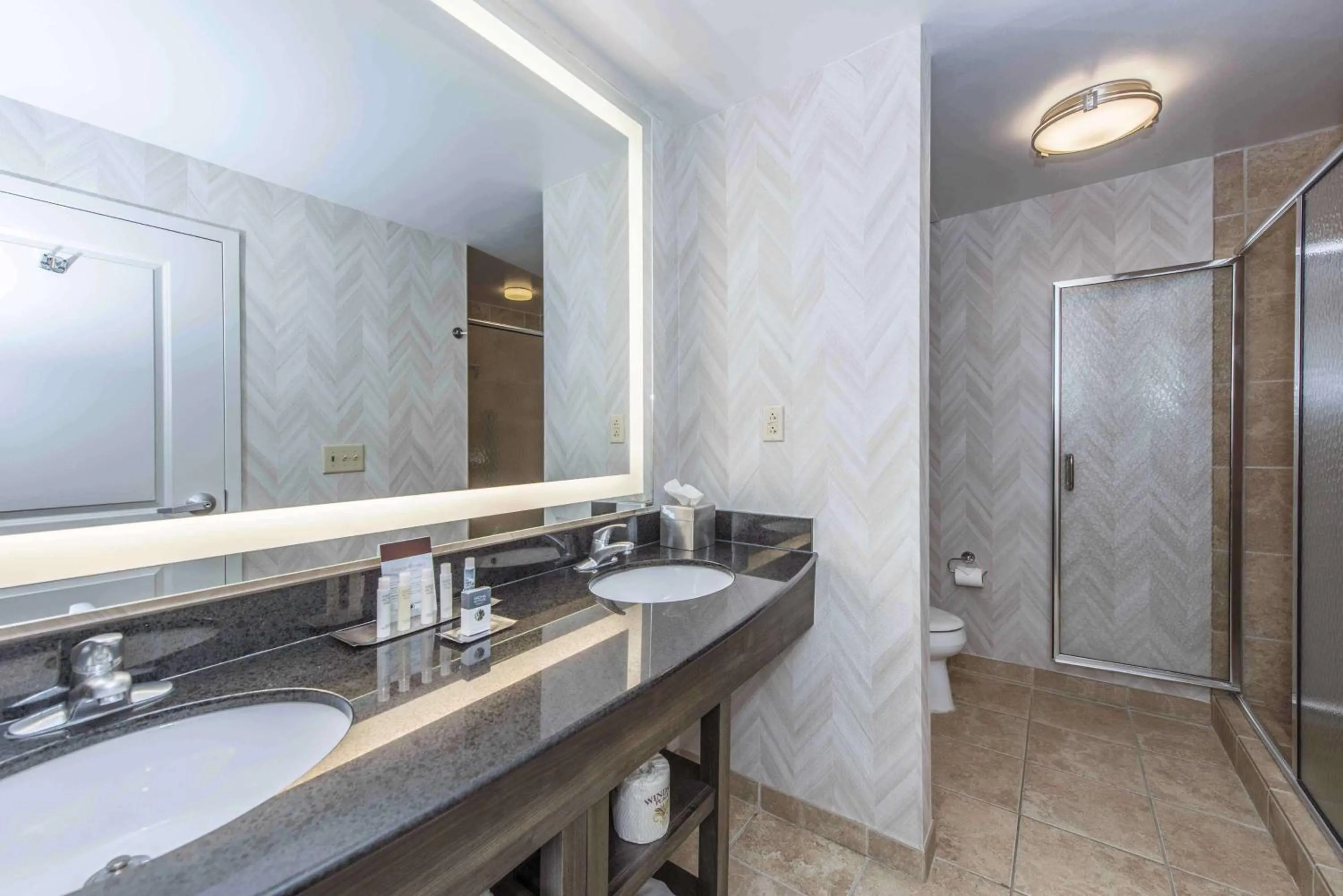 Toilet in DoubleTree by Hilton North Charleston - Convention Center