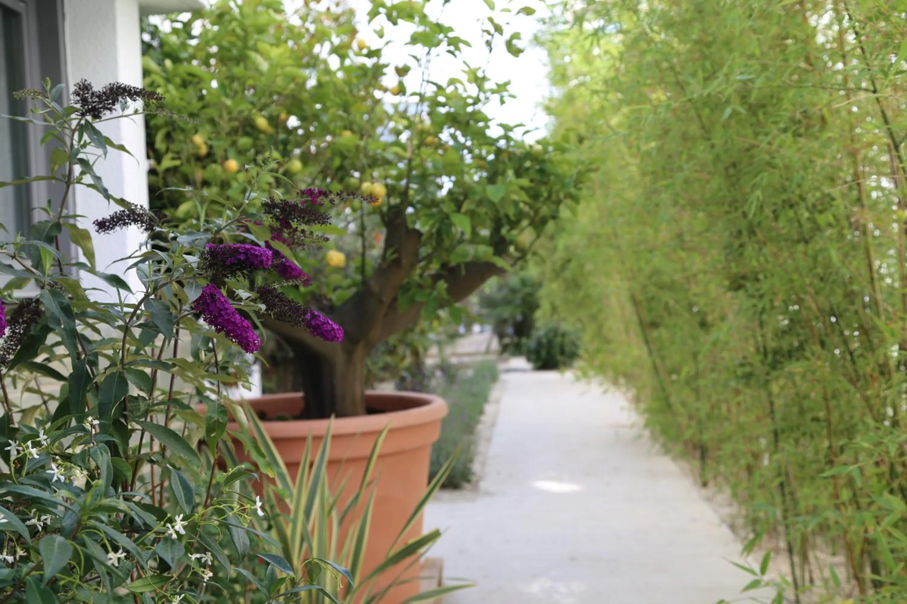 Garden in Central Park Hôtel & Spa