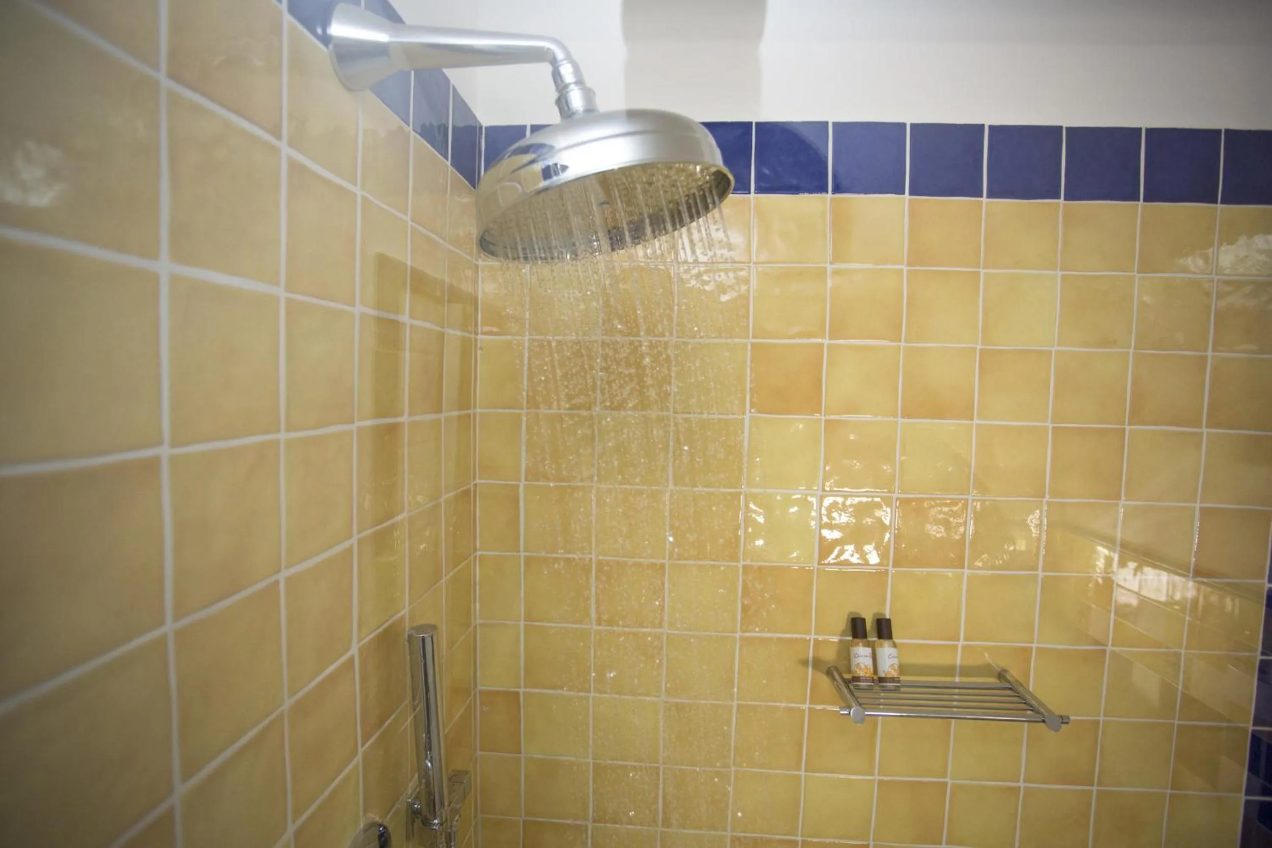 Shower in B&B L'Artista