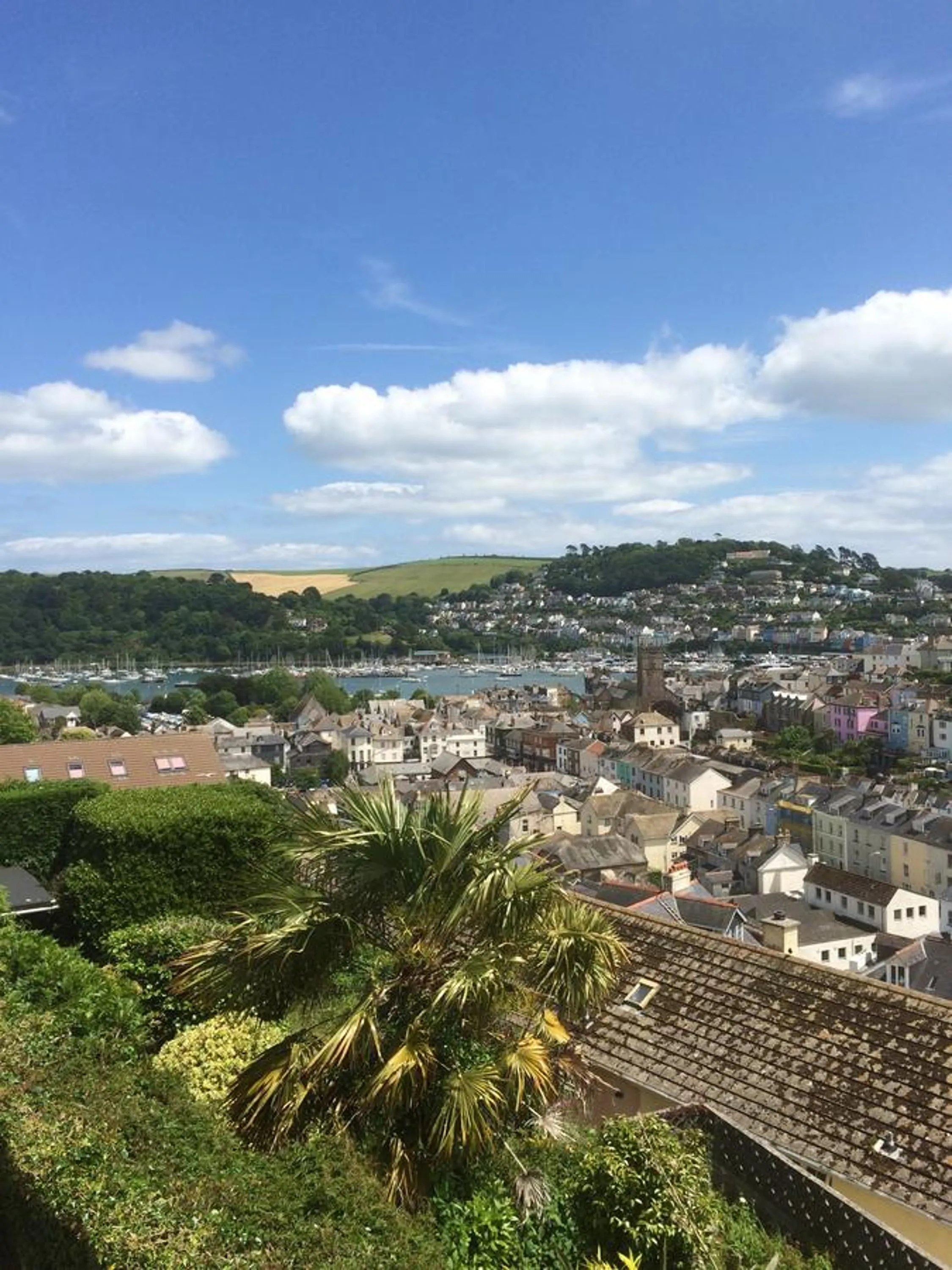 View (from property/room) in Compass Rose