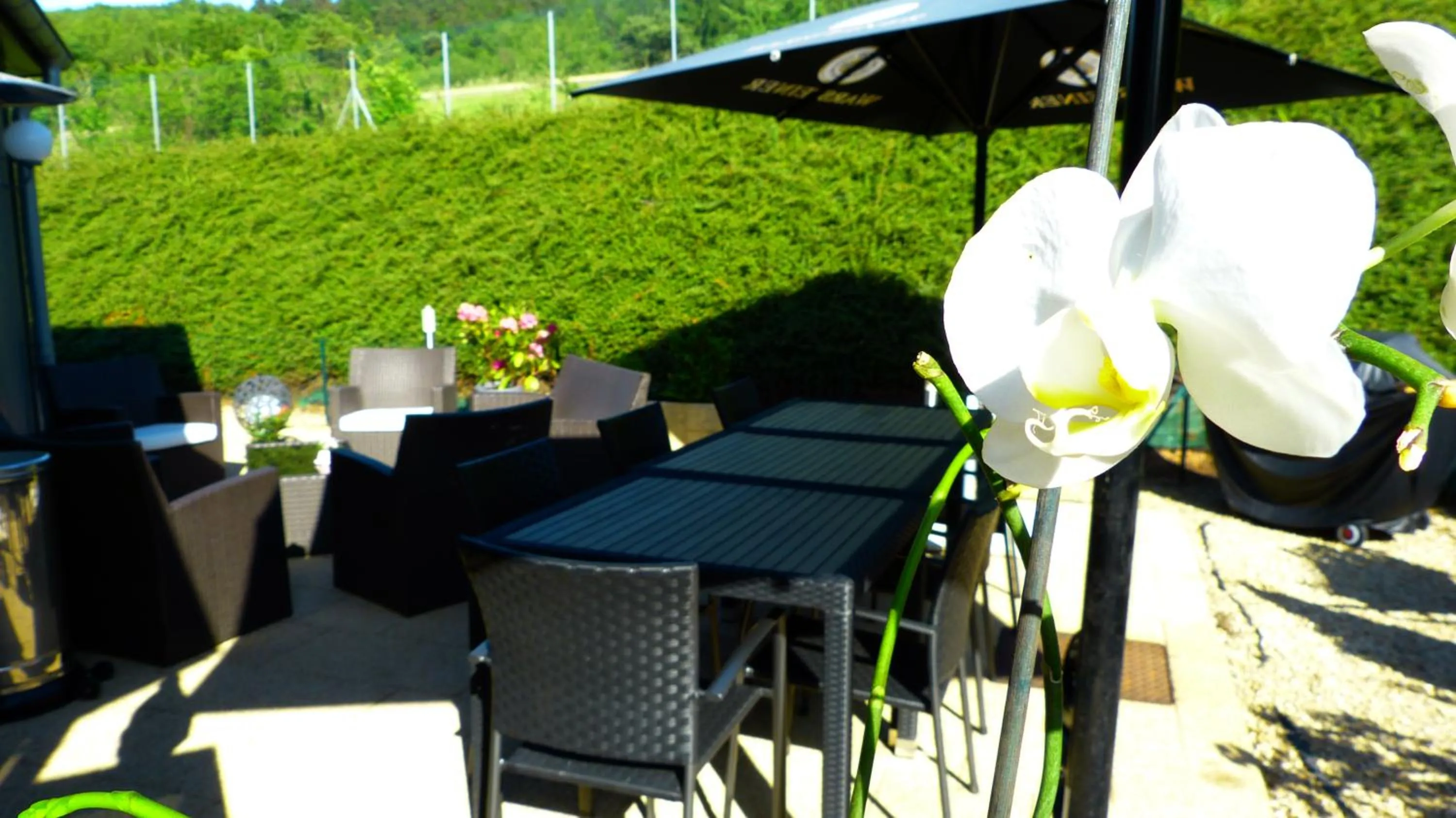 Patio in Hotel Premium