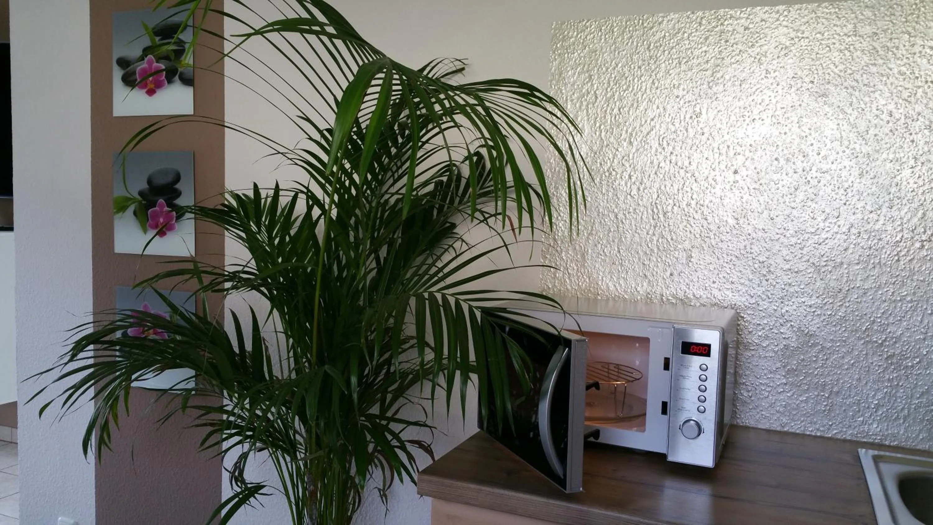 Ferienwohnung Schusi Freital