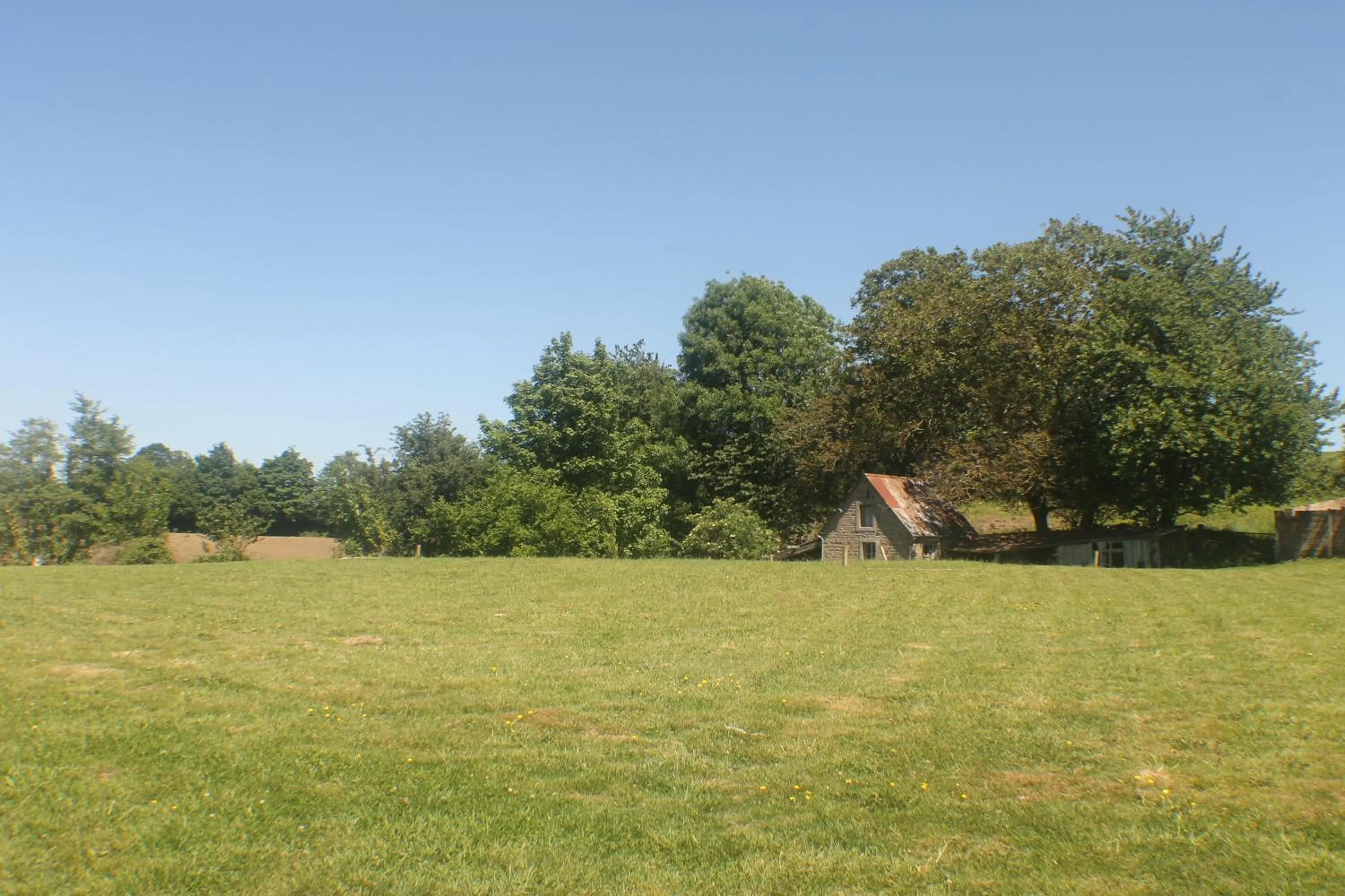 Garden in Walnut House
