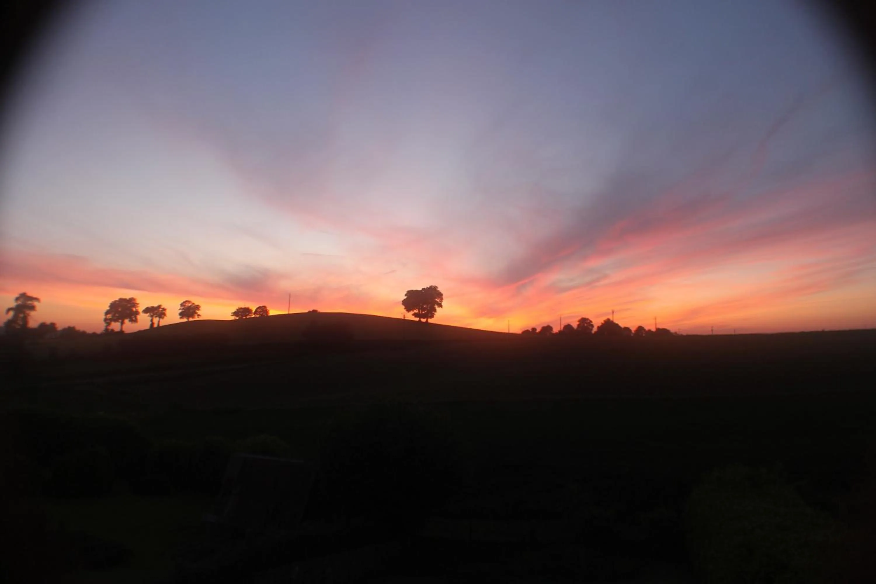 Other in Walnut House