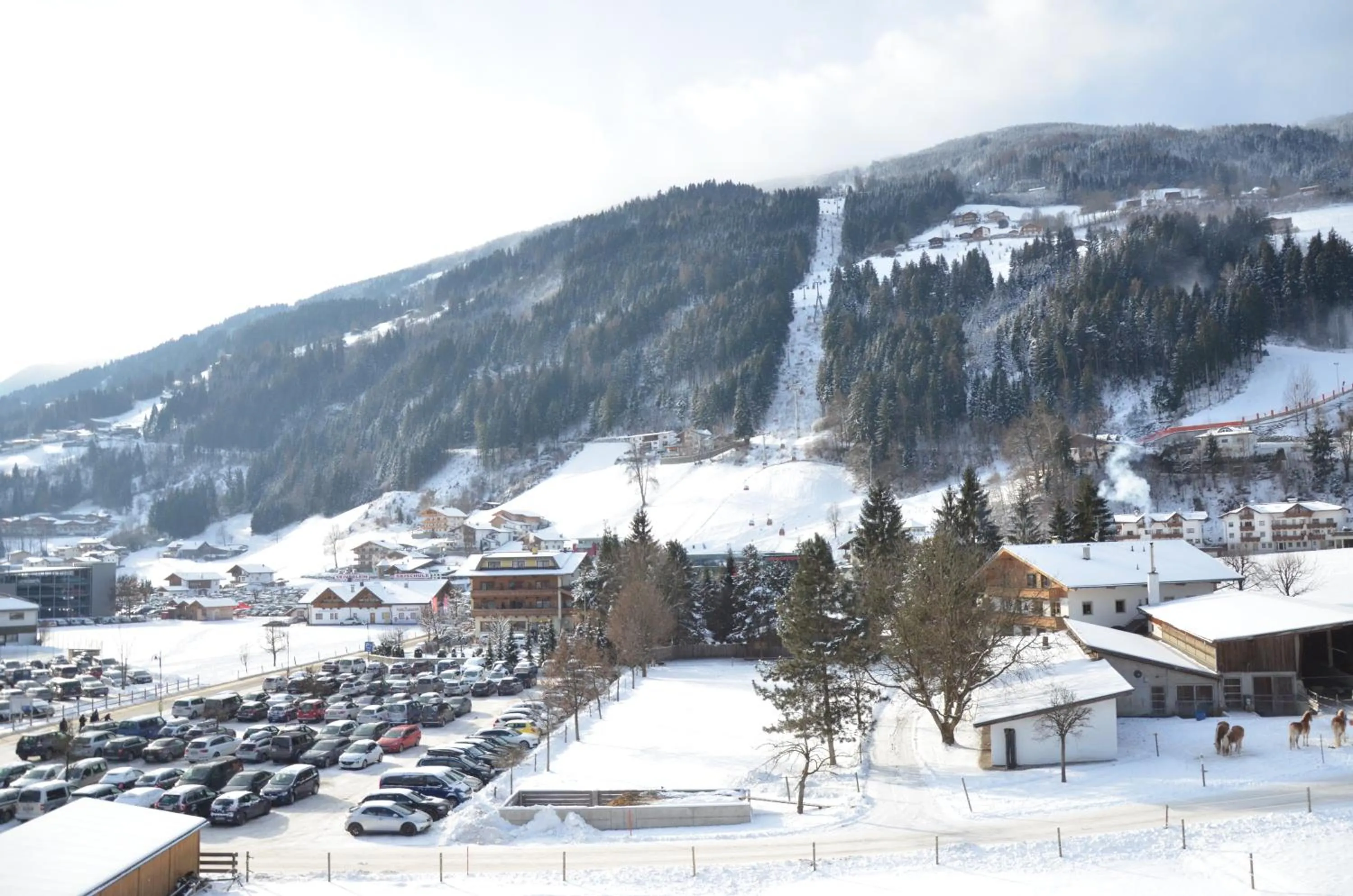 Area and facilities in Aparthotel AlpTirol