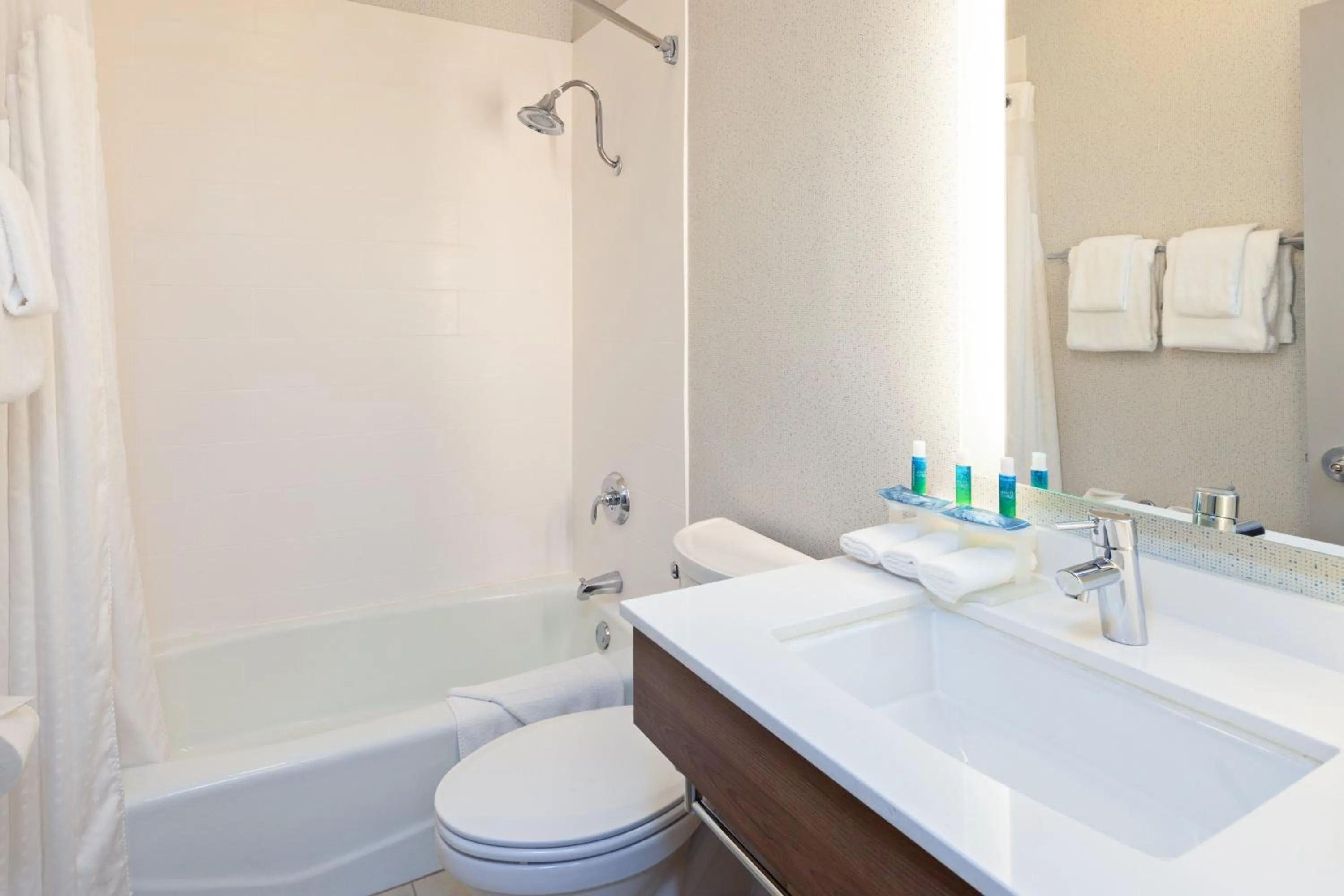 Bathroom in Holiday Inn Express Hotel & Suites San Diego-Escondido by IHG