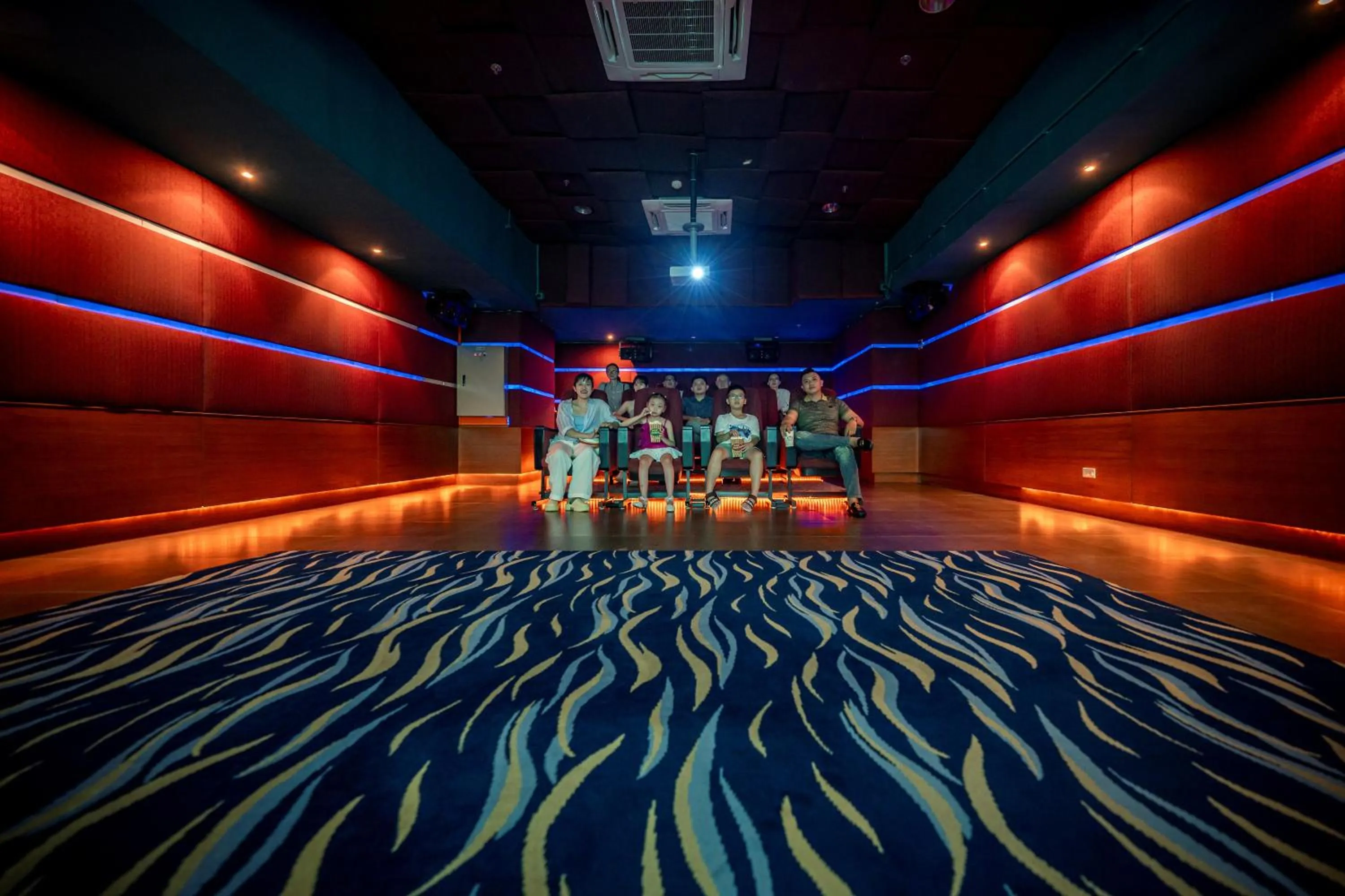 Entertainment in Sherwood Residence