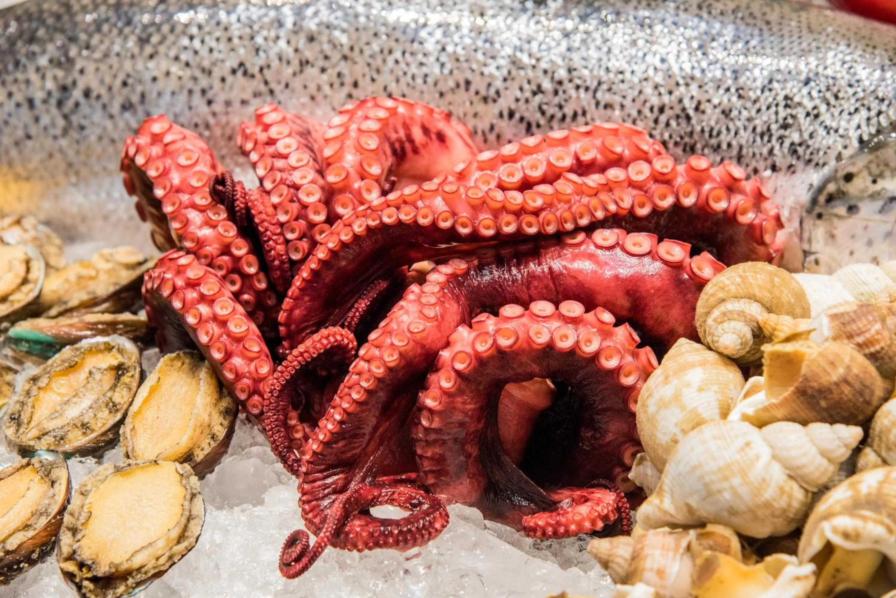 Restaurant/places to eat in Windsor Plaza Hotel