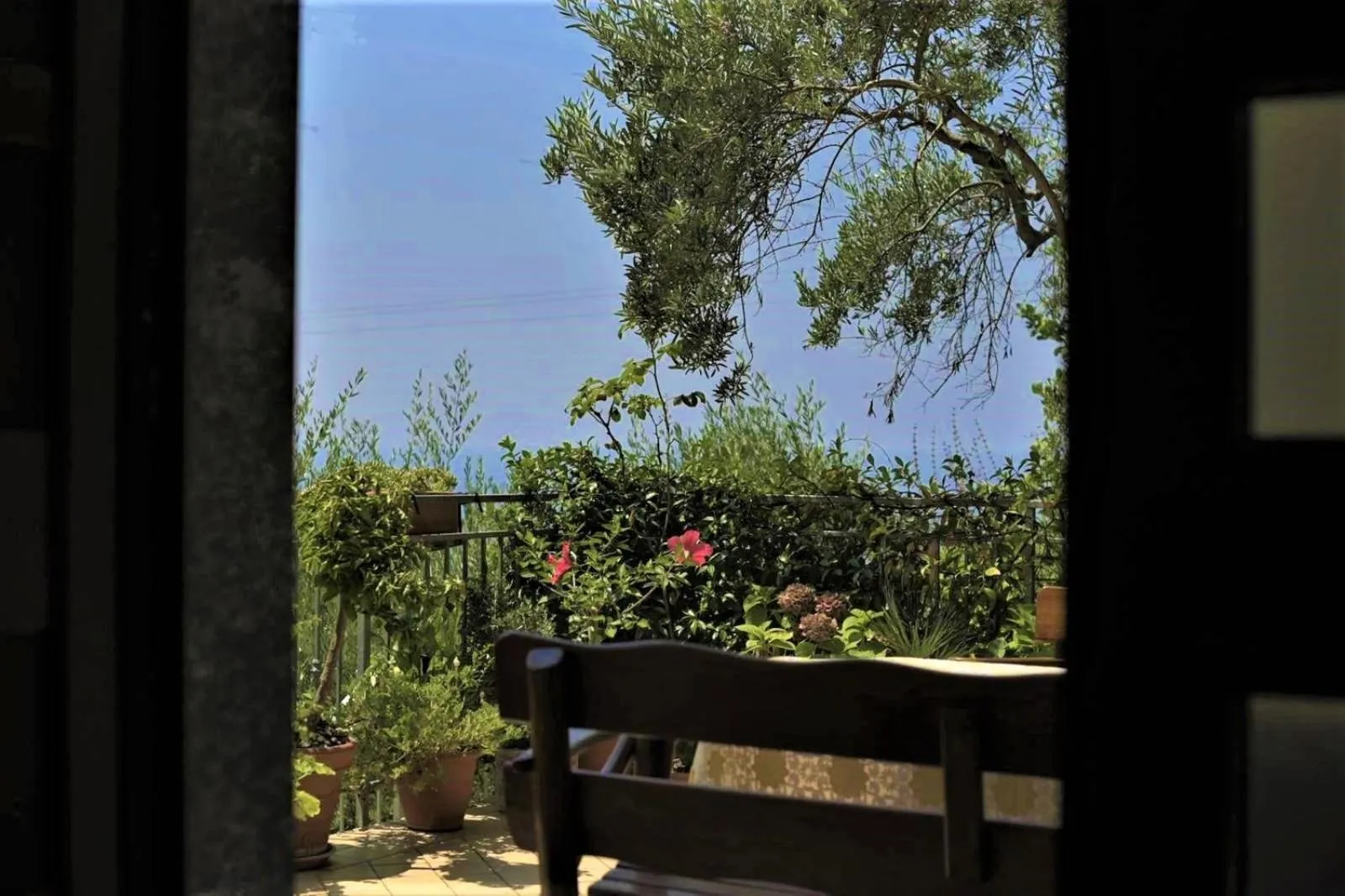 Patio in B&B dei Fiori