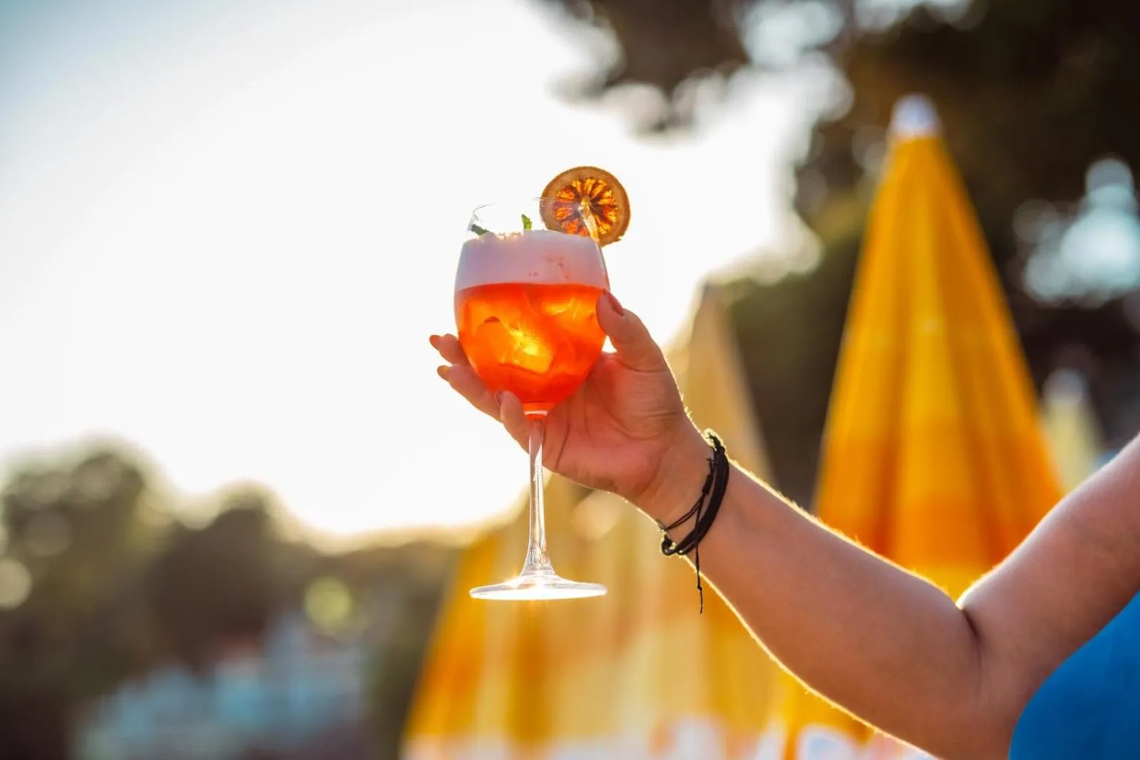 Restaurant/places to eat in Sardunya Andifli Otel