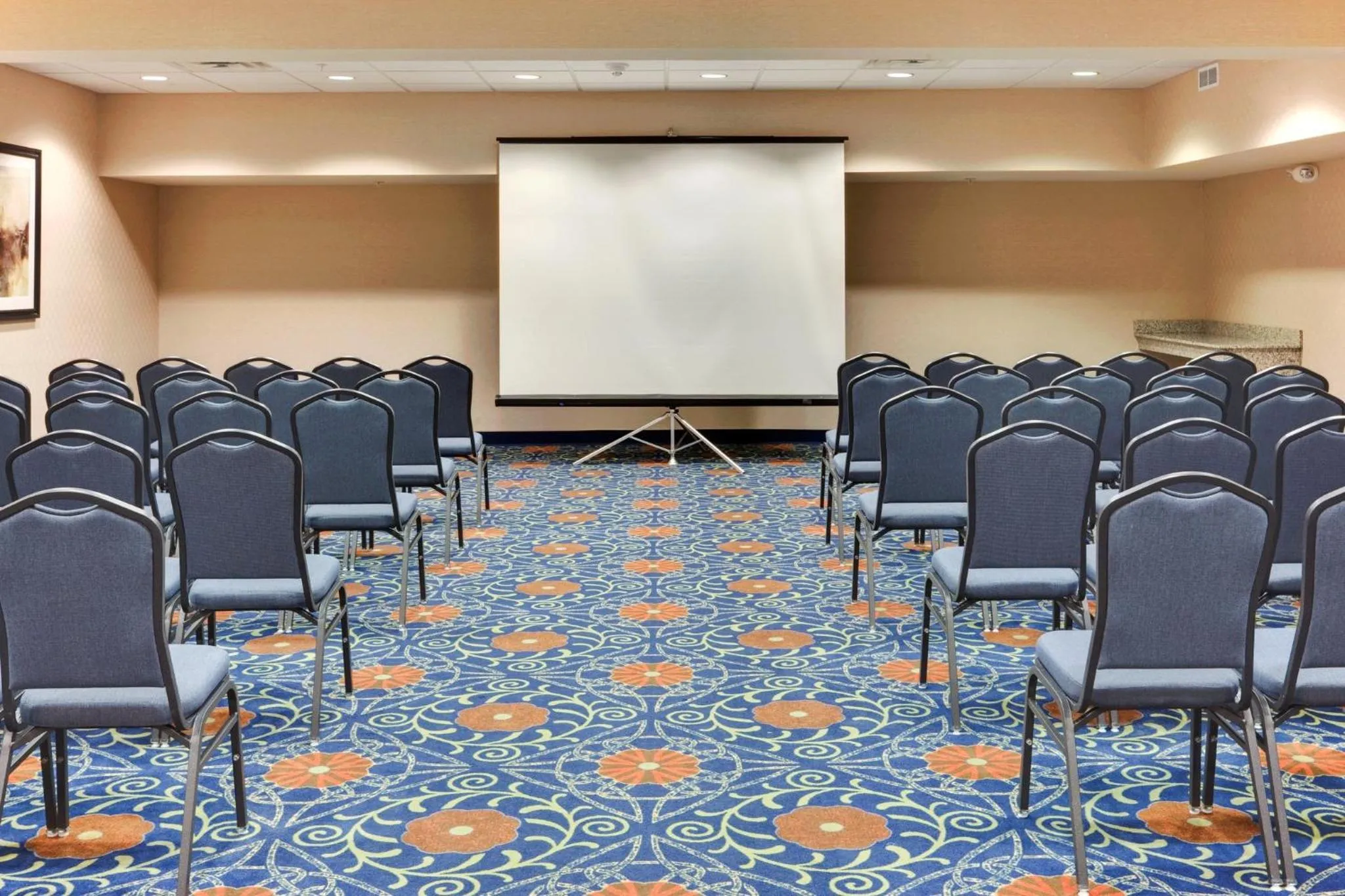 Meeting/conference room in Holiday Inn Express & Suites Detroit - Novi by IHG