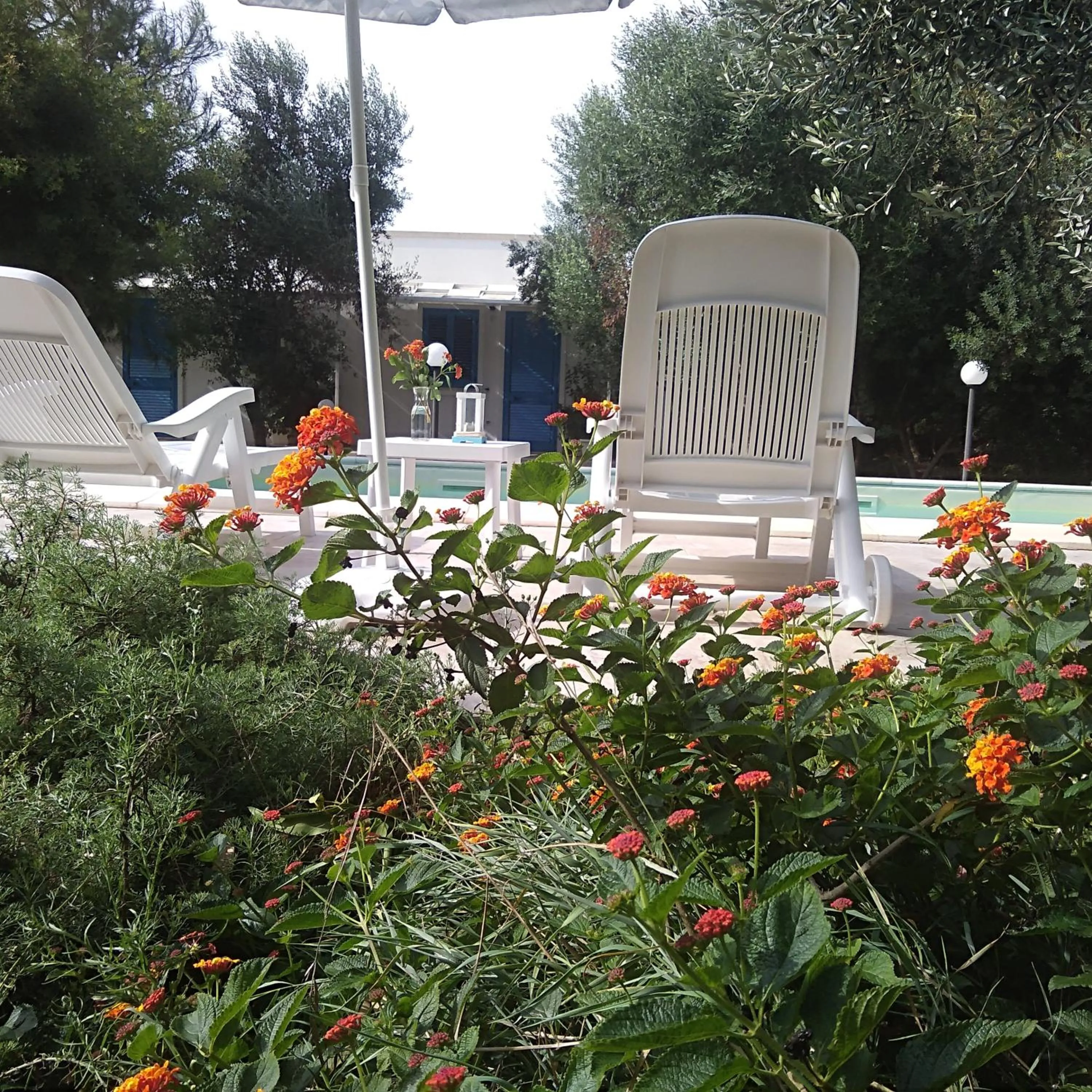 Natural landscape in Verdeblu