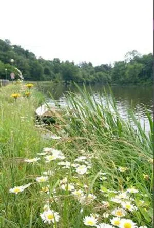 Facade/entrance in Logis Cosy - Hôtel Le Moulin Neuf - Chantonnay