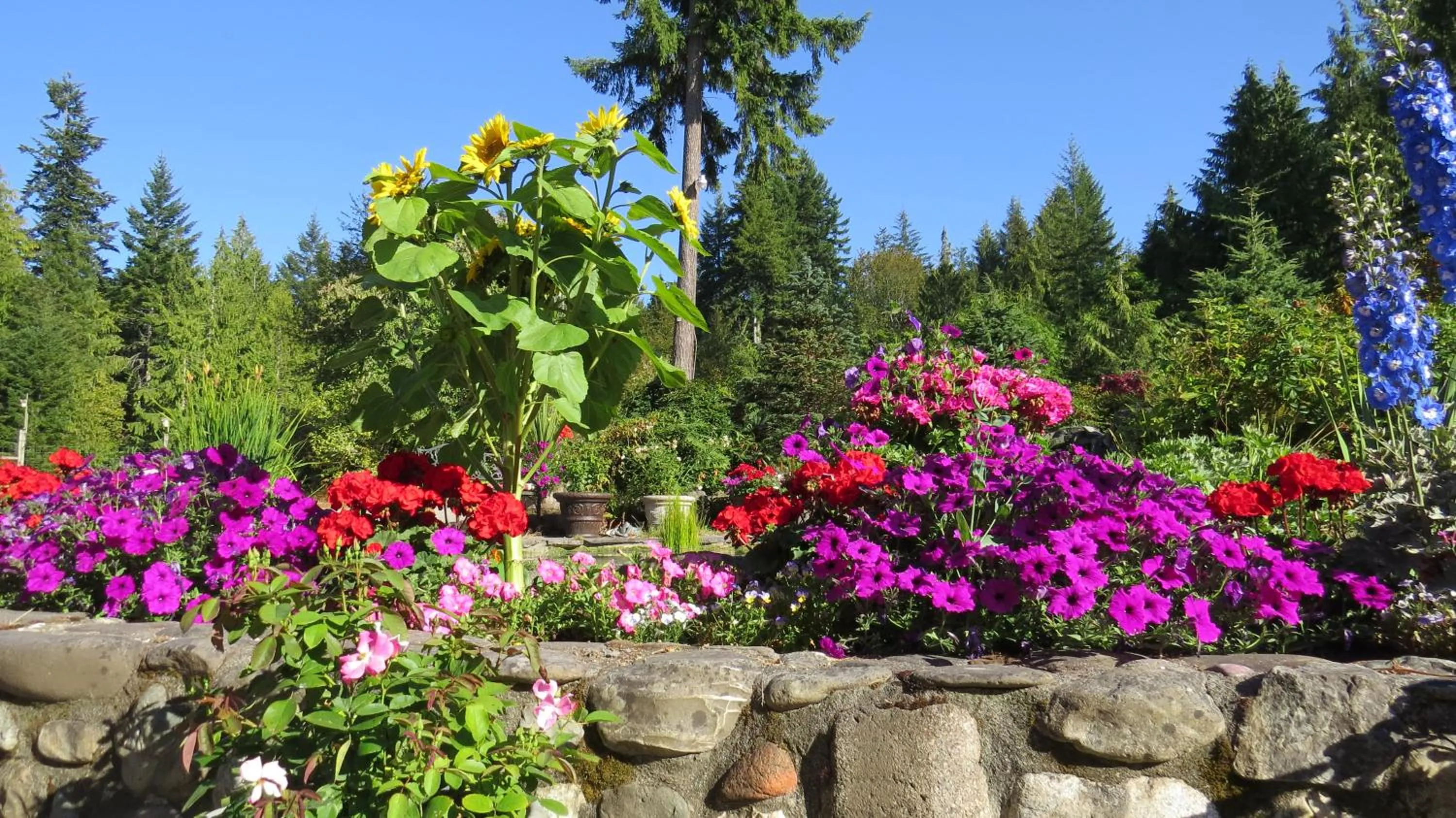 Property building in A Hidden Haven Cottages