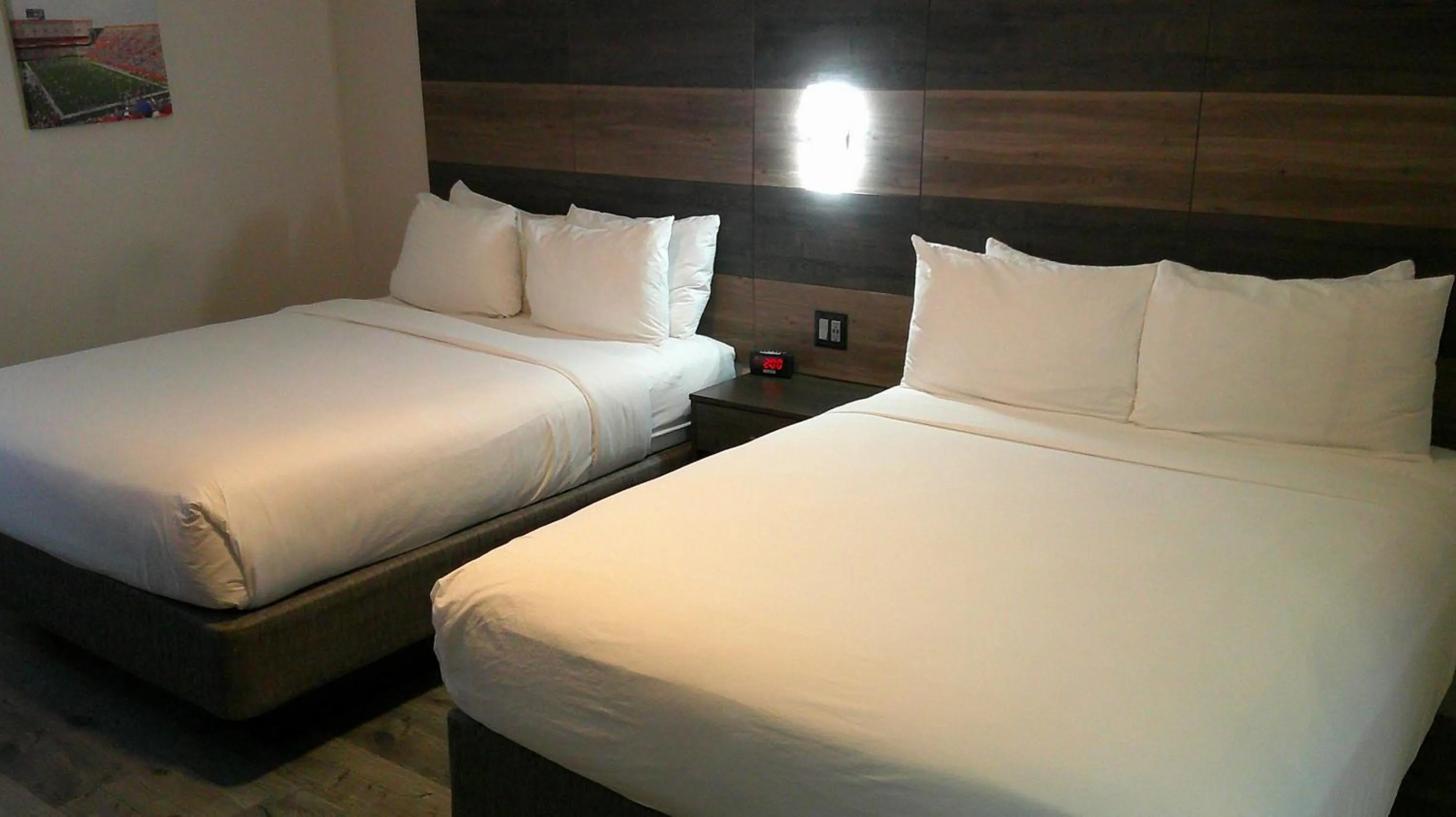 Bedroom, Bed in HOM Hotel Gainesville, SureStay Collection by Best Western