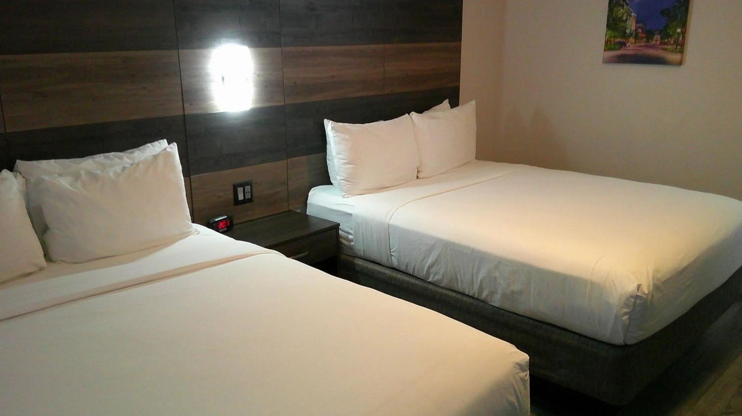 Bedroom, Bed in HOM Hotel Gainesville, SureStay Collection by Best Western