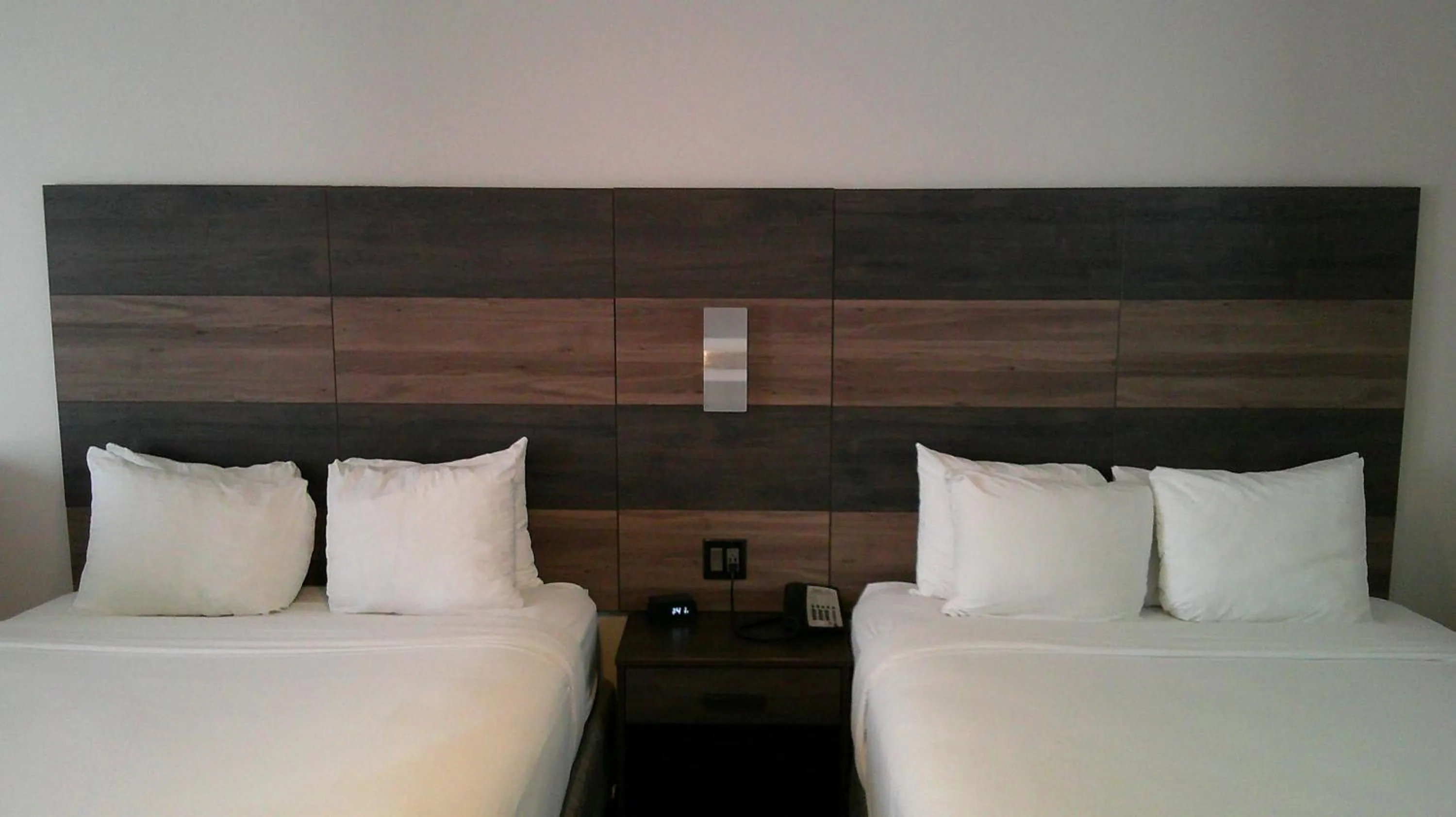 Bedroom, Bed in HOM Hotel Gainesville, SureStay Collection by Best Western