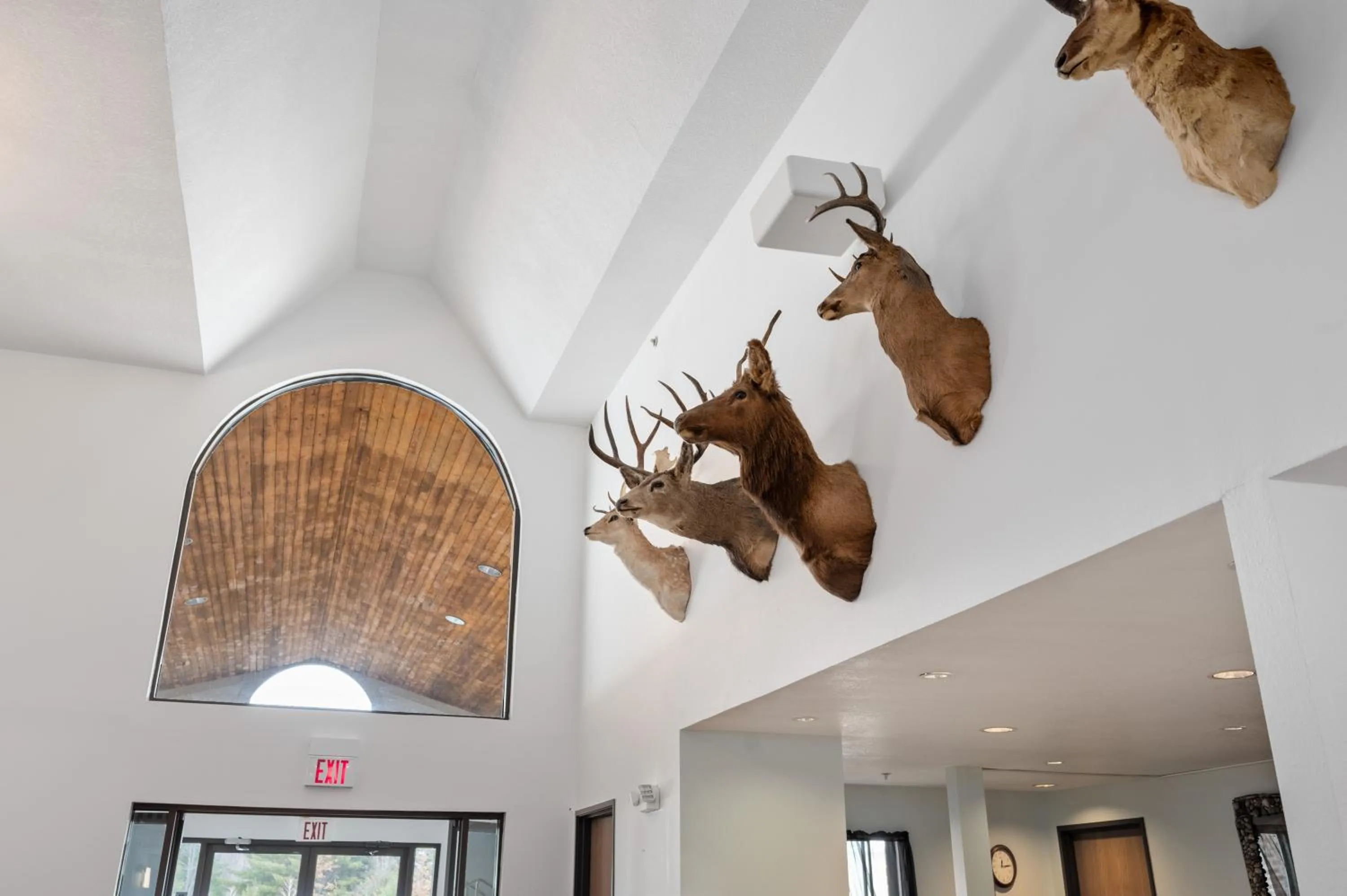 Property building in All Seasons Resort