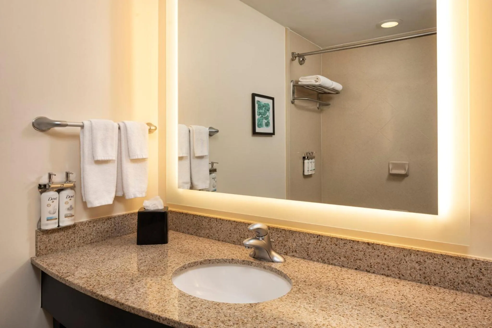 Bathroom in Holiday Inn Hotel & Suites Maple Grove Northwest Minneapolis-Arbor Lakes by IHG