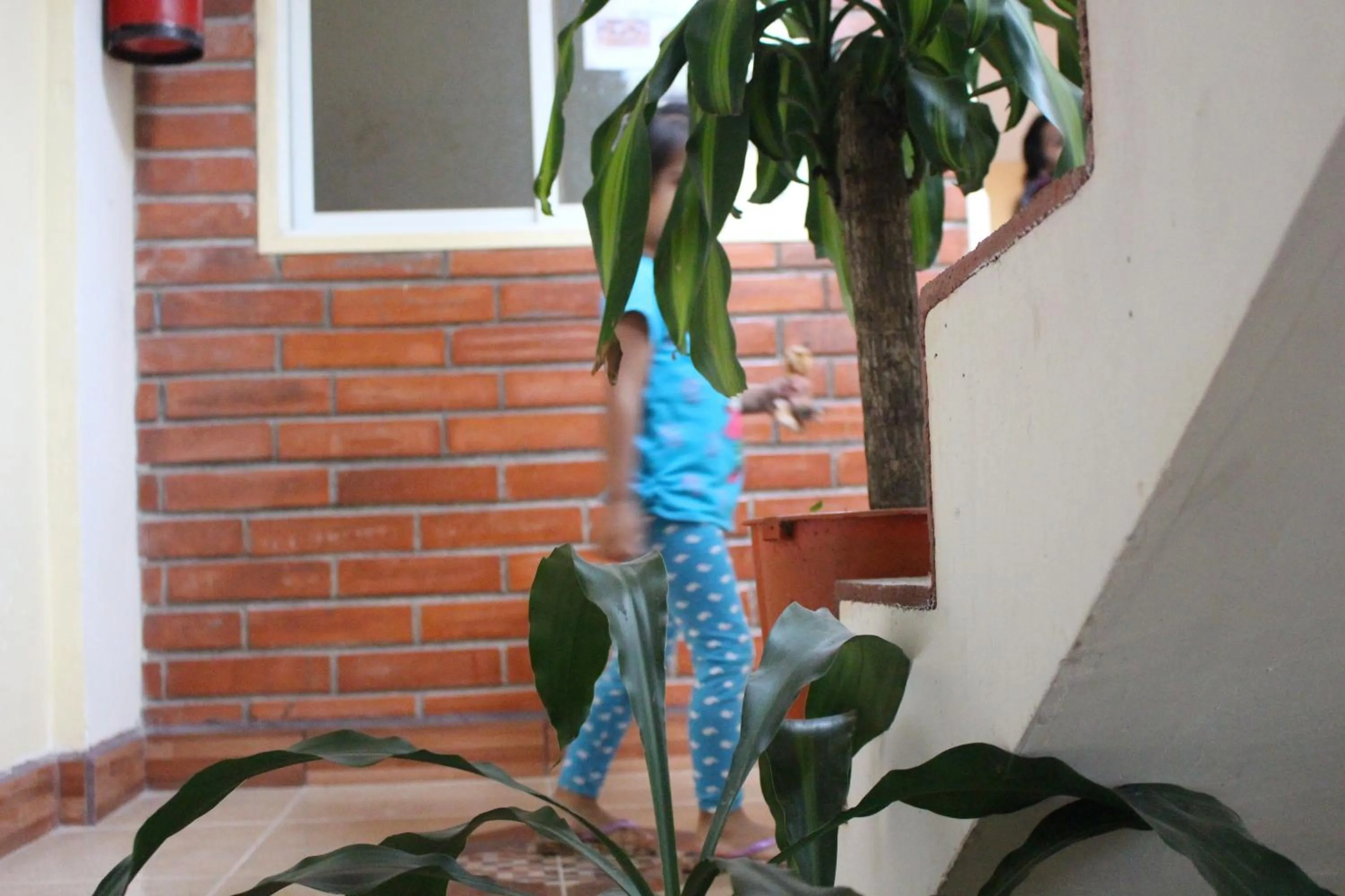 Property building in Hotel Flor Del Campo